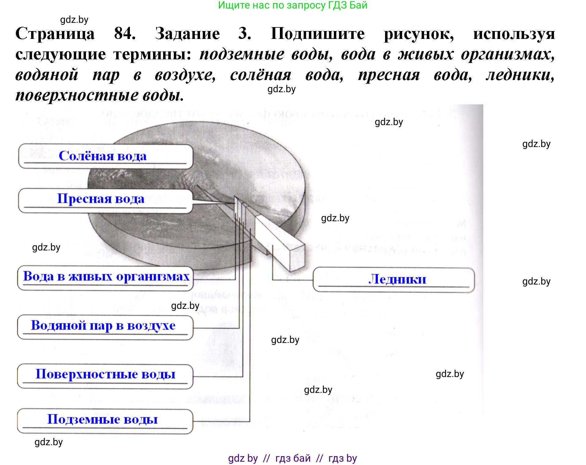 Человек и мир, 5 класс рабочая тетрадь, авторы: Лопух Пётр Степанович, Шкель Людмила Валерьевна, издательство Аверсэв, Минск, 2022, страница 84, номер 3, Решение
