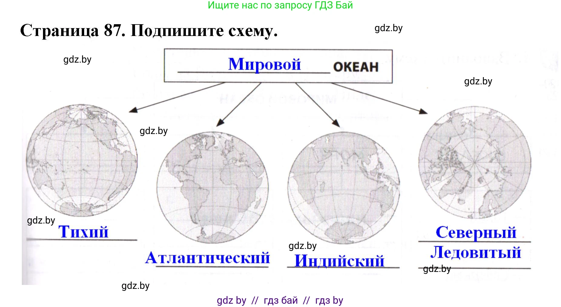 Человек и мир, 5 класс рабочая тетрадь, авторы: Лопух Пётр Степанович, Шкель Людмила Валерьевна, издательство Аверсэв, Минск, 2022, страница 87, номер 1, Решение