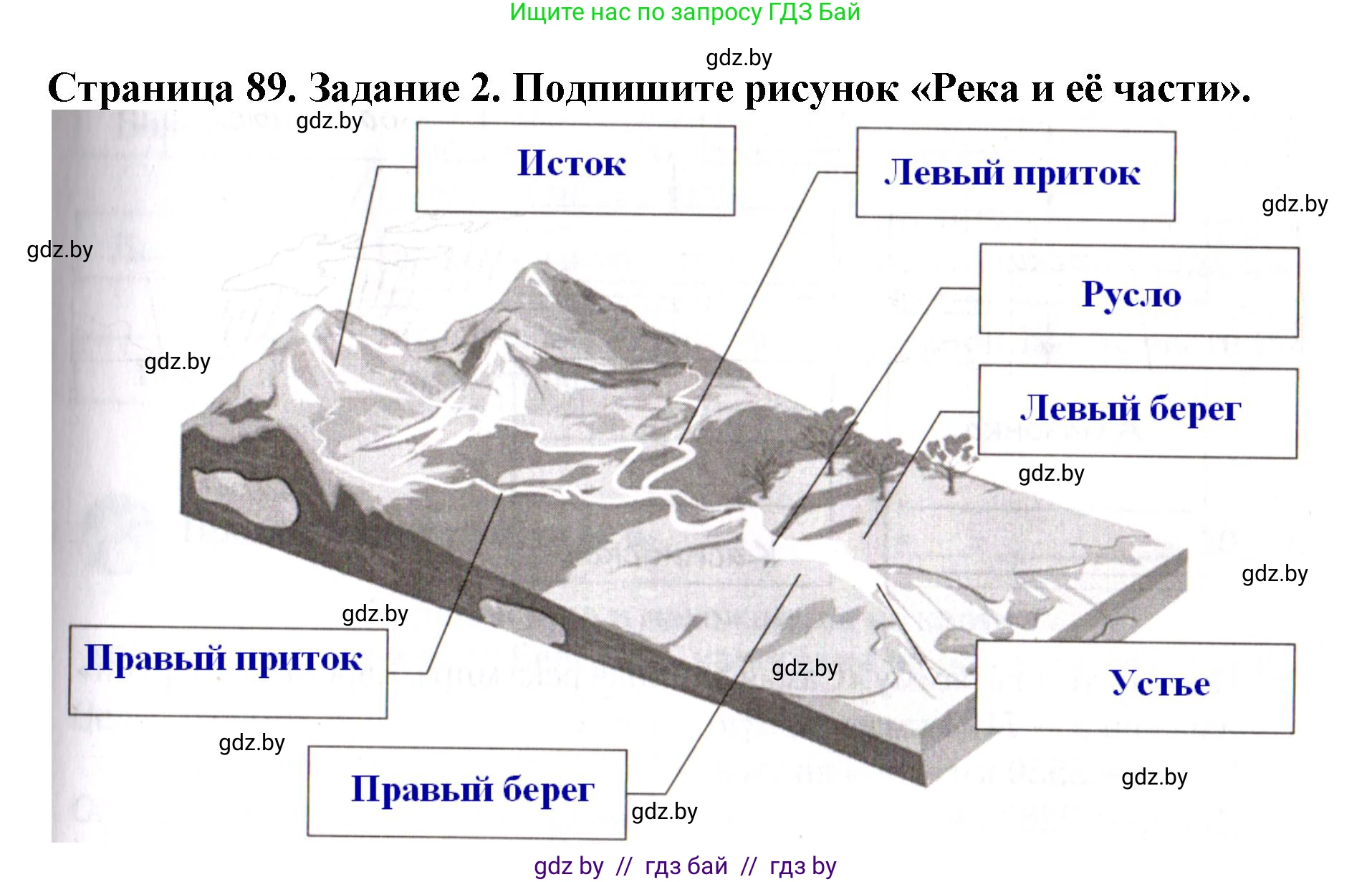 Человек и мир, 5 класс рабочая тетрадь, авторы: Лопух Пётр Степанович, Шкель Людмила Валерьевна, издательство Аверсэв, Минск, 2022, страница 89, номер 2, Решение