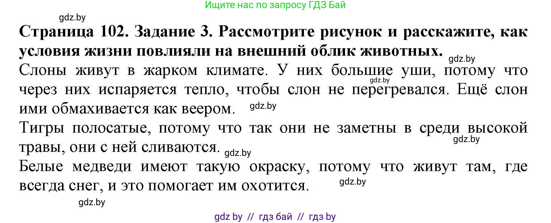 Человек и мир, 5 класс рабочая тетрадь, авторы: Лопух Пётр Степанович, Шкель Людмила Валерьевна, издательство Аверсэв, Минск, 2022, страница 102, номер 3, Решение