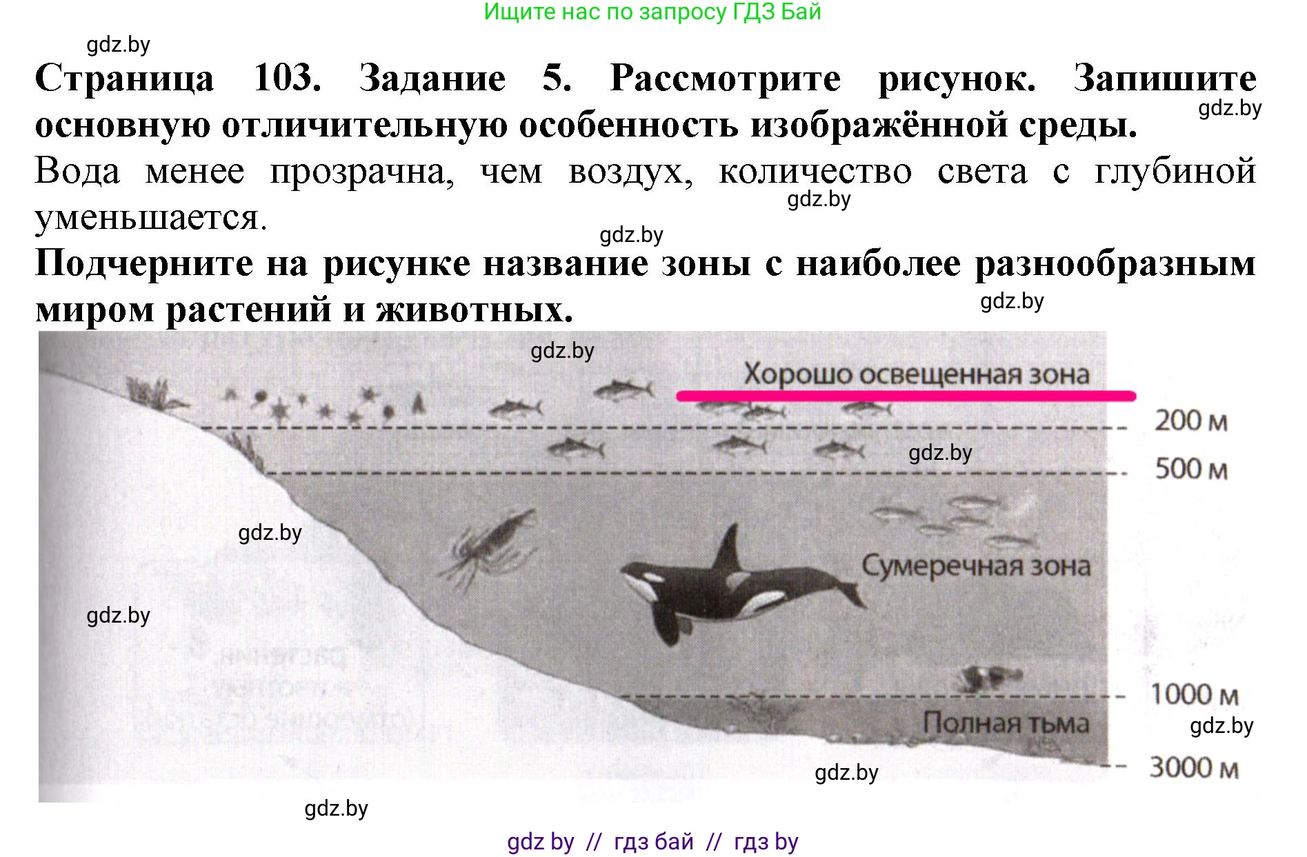 Человек и мир, 5 класс рабочая тетрадь, авторы: Лопух Пётр Степанович, Шкель Людмила Валерьевна, издательство Аверсэв, Минск, 2022, страница 103, номер 5, Решение