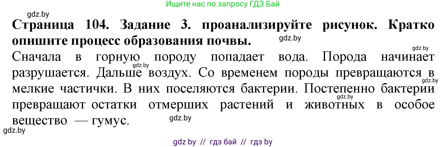 Человек и мир, 5 класс рабочая тетрадь, авторы: Лопух Пётр Степанович, Шкель Людмила Валерьевна, издательство Аверсэв, Минск, 2022, страница 104, номер 3, Решение