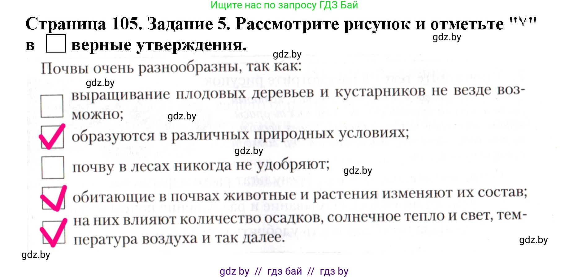 Человек и мир, 5 класс рабочая тетрадь, авторы: Лопух Пётр Степанович, Шкель Людмила Валерьевна, издательство Аверсэв, Минск, 2022, страница 105, номер 5, Решение