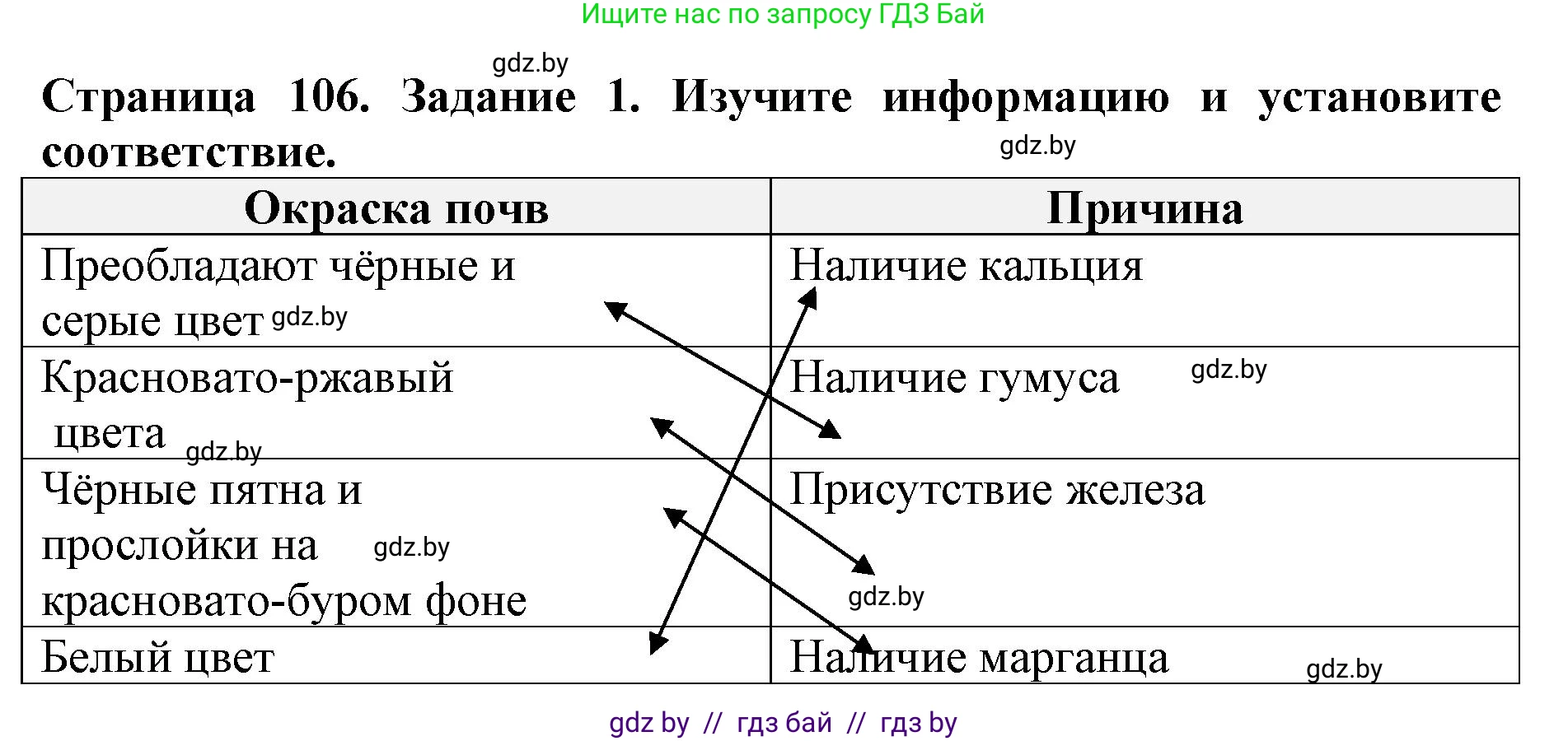 Человек и мир, 5 класс рабочая тетрадь, авторы: Лопух Пётр Степанович, Шкель Людмила Валерьевна, издательство Аверсэв, Минск, 2022, страница 106, номер 1, Решение