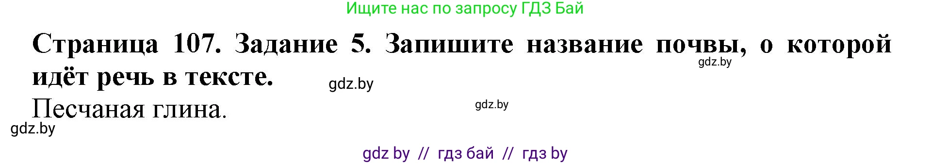 Человек и мир, 5 класс рабочая тетрадь, авторы: Лопух Пётр Степанович, Шкель Людмила Валерьевна, издательство Аверсэв, Минск, 2022, страница 107, номер 5, Решение