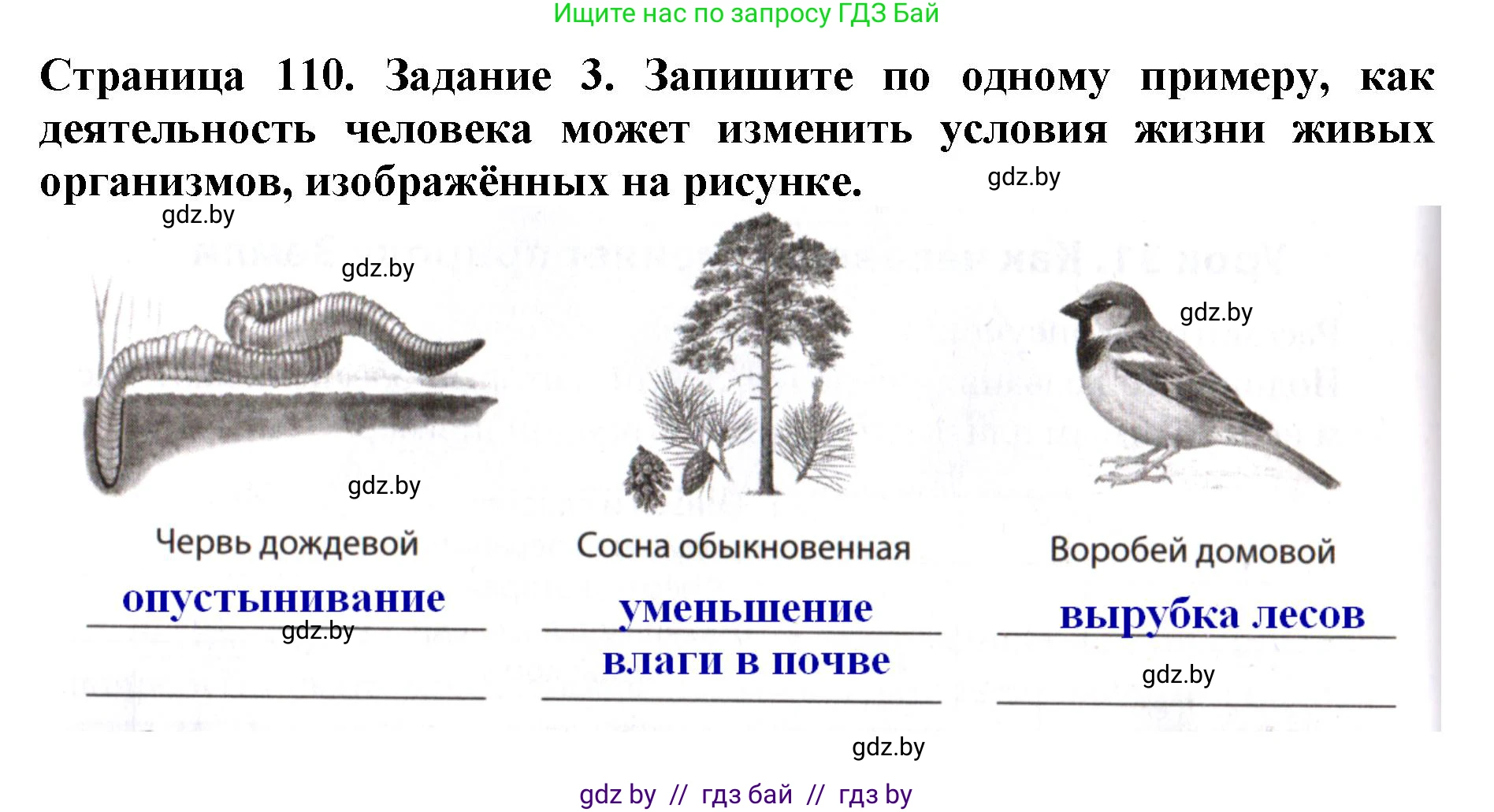 Человек и мир, 5 класс рабочая тетрадь, авторы: Лопух Пётр Степанович, Шкель Людмила Валерьевна, издательство Аверсэв, Минск, 2022, страница 110, номер 3, Решение