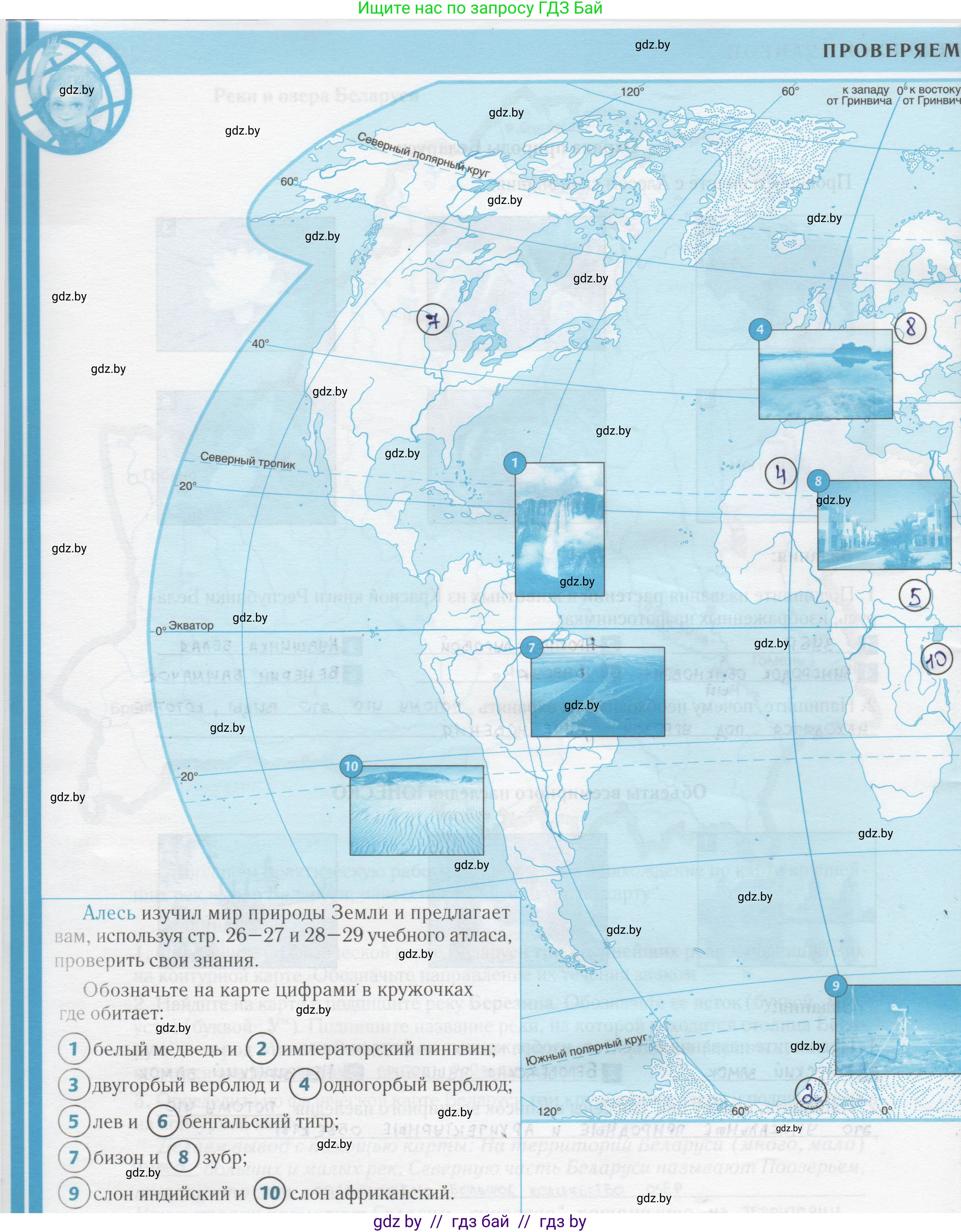 Человек и мир, 5 класс Контурные карты, авторы: Лопух Пётр Степанович, Сарычева Ольга Владимировна, Шкель Людмила Валерьевна, издательство Белкартография, Минск, 2022, голубого цвета, страница 22, Решение