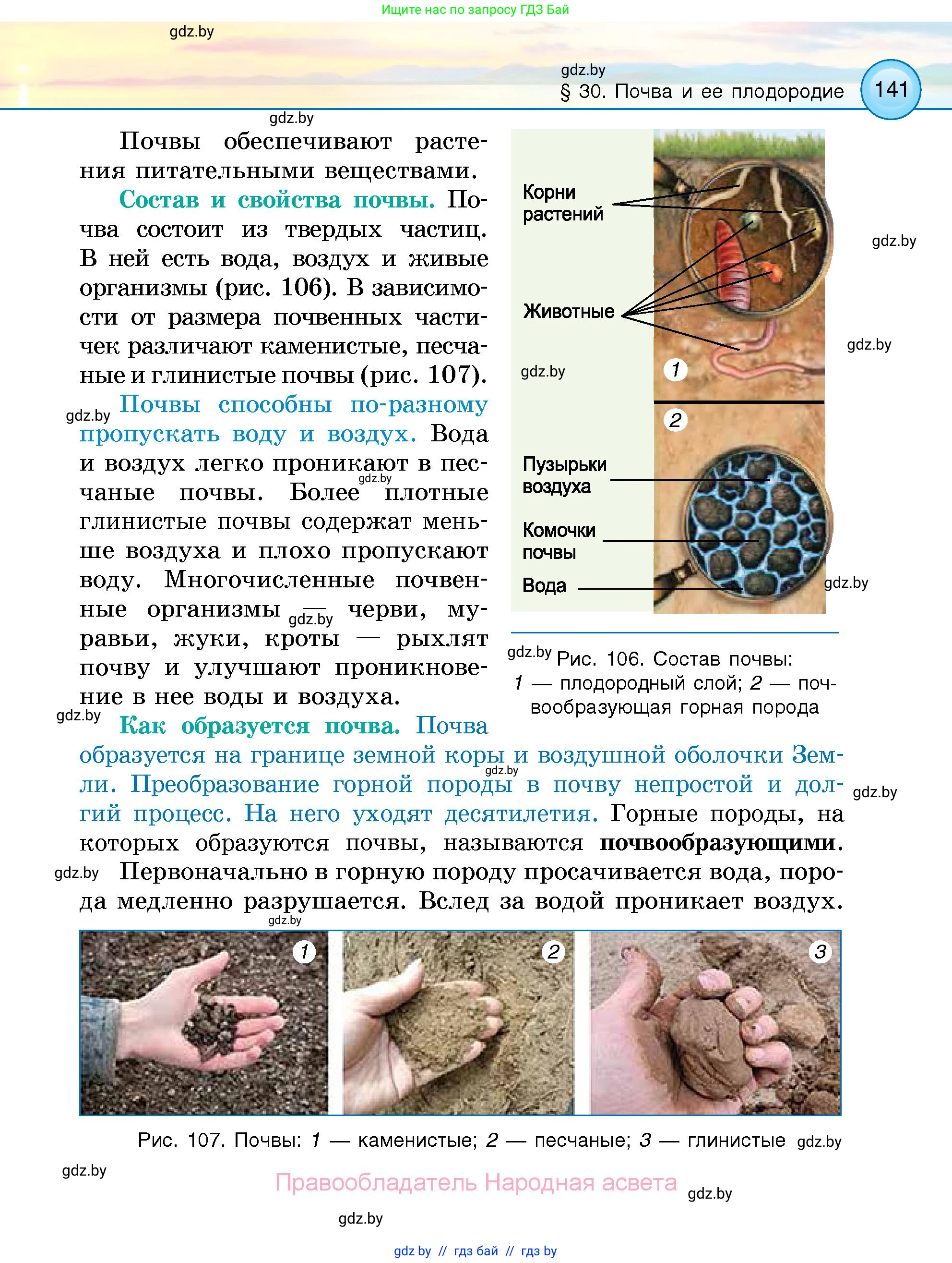 Человек и мир, 5 класс Учебник, авторы: Лопух Пётр Степанович, Сарычева Ольга Владимировна, Шкель Людмила Валерьевна, издательство Народная асвета, Минск, 2022, белого цвета, страница 141