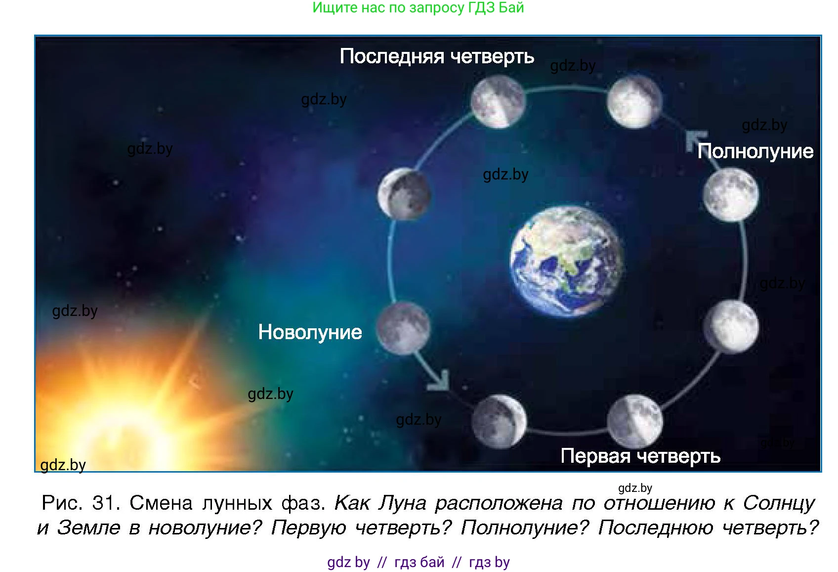 Человек и мир, 5 класс Учебник, авторы: Лопух Пётр Степанович, Сарычева Ольга Владимировна, Шкель Людмила Валерьевна, издательство Народная асвета, Минск, 2022, белого цвета, страница 55, Условие