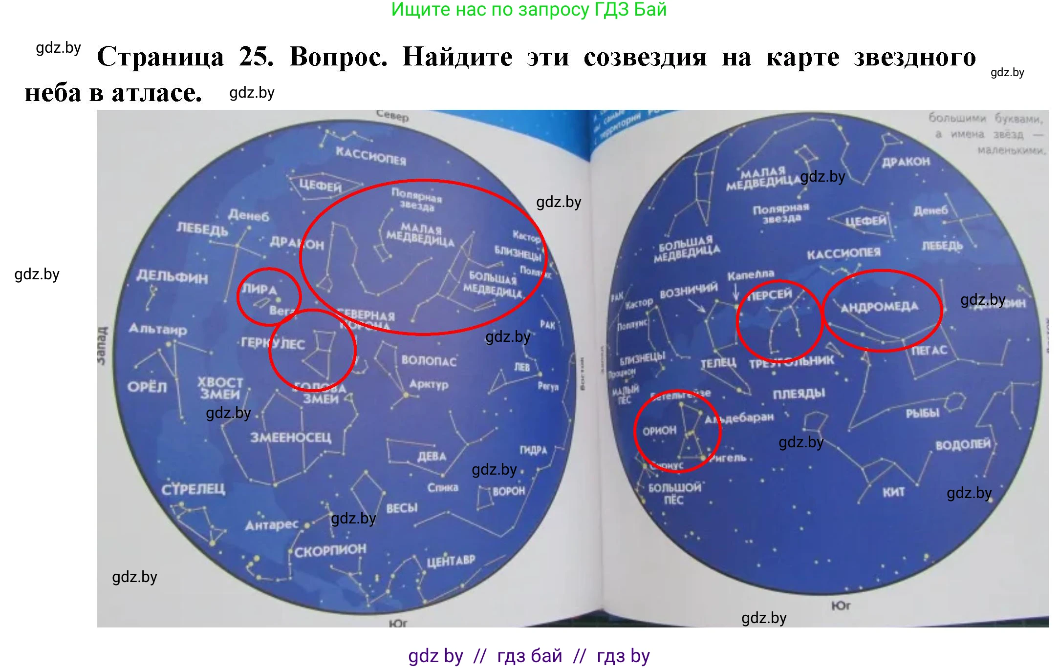 Человек и мир, 5 класс Учебник, авторы: Лопух Пётр Степанович, Сарычева Ольга Владимировна, Шкель Людмила Валерьевна, издательство Народная асвета, Минск, 2022, белого цвета, страница 25, номер 2, Решение