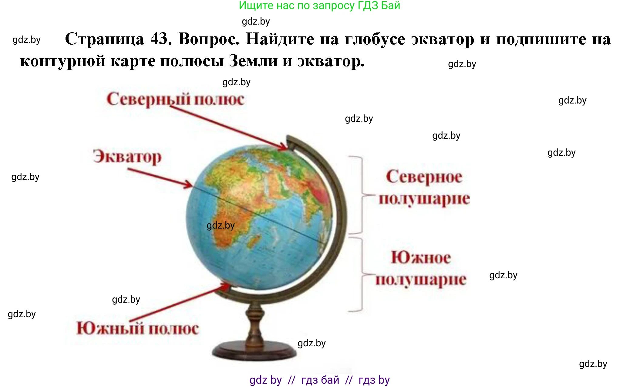 Человек и мир, 5 класс Учебник, авторы: Лопух Пётр Степанович, Сарычева Ольга Владимировна, Шкель Людмила Валерьевна, издательство Народная асвета, Минск, 2022, белого цвета, страница 43, номер 1, Решение