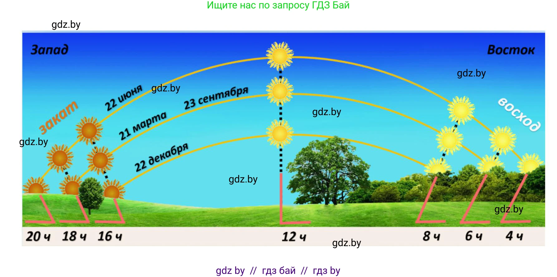 Человек и мир, 5 класс Учебник, авторы: Лопух Пётр Степанович, Сарычева Ольга Владимировна, Шкель Людмила Валерьевна, издательство Народная асвета, Минск, 2022, белого цвета, страница 53, Решение (продолжение 2)