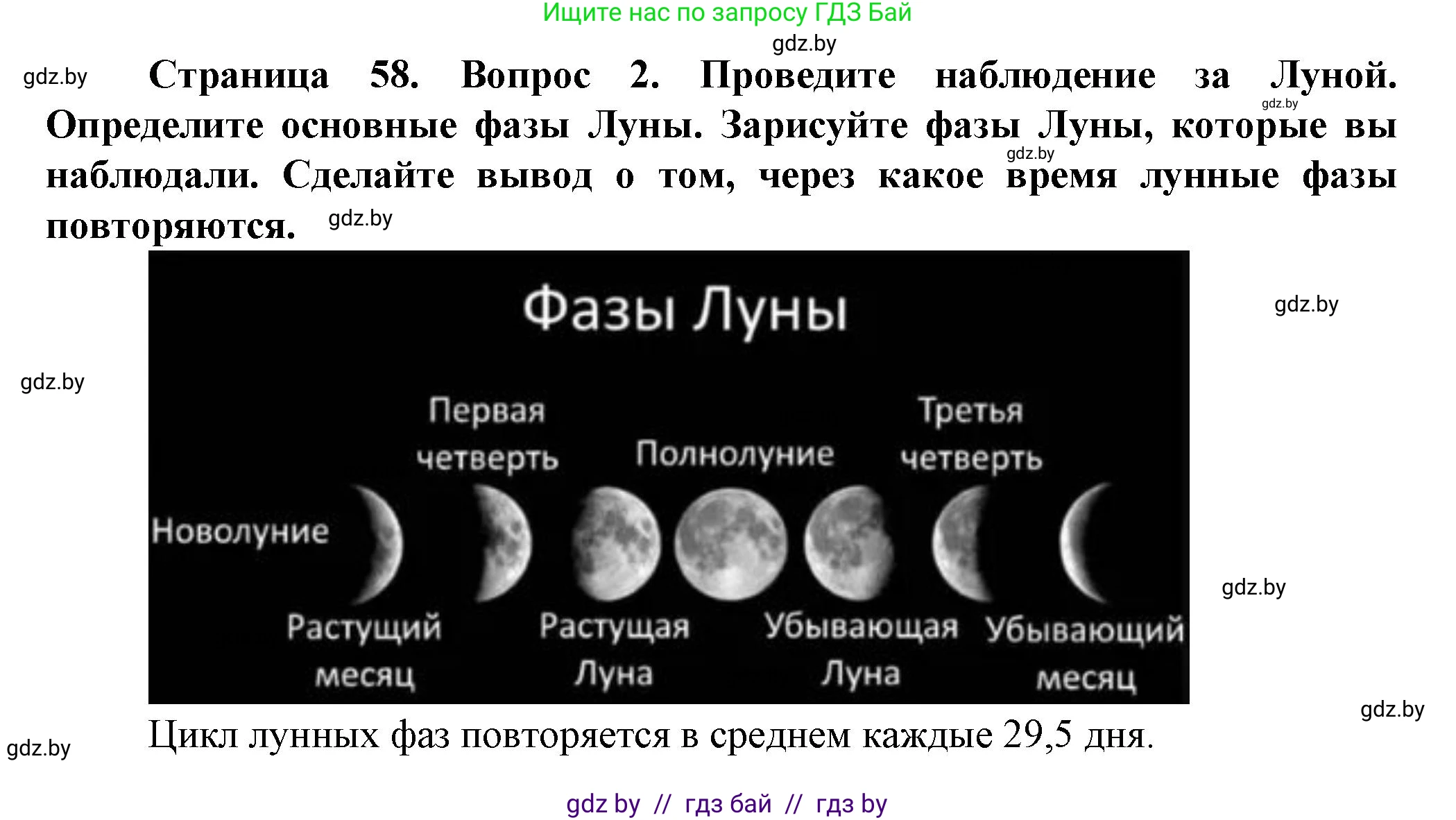 Человек и мир, 5 класс Учебник, авторы: Лопух Пётр Степанович, Сарычева Ольга Владимировна, Шкель Людмила Валерьевна, издательство Народная асвета, Минск, 2022, белого цвета, страница 58, номер 2, Решение