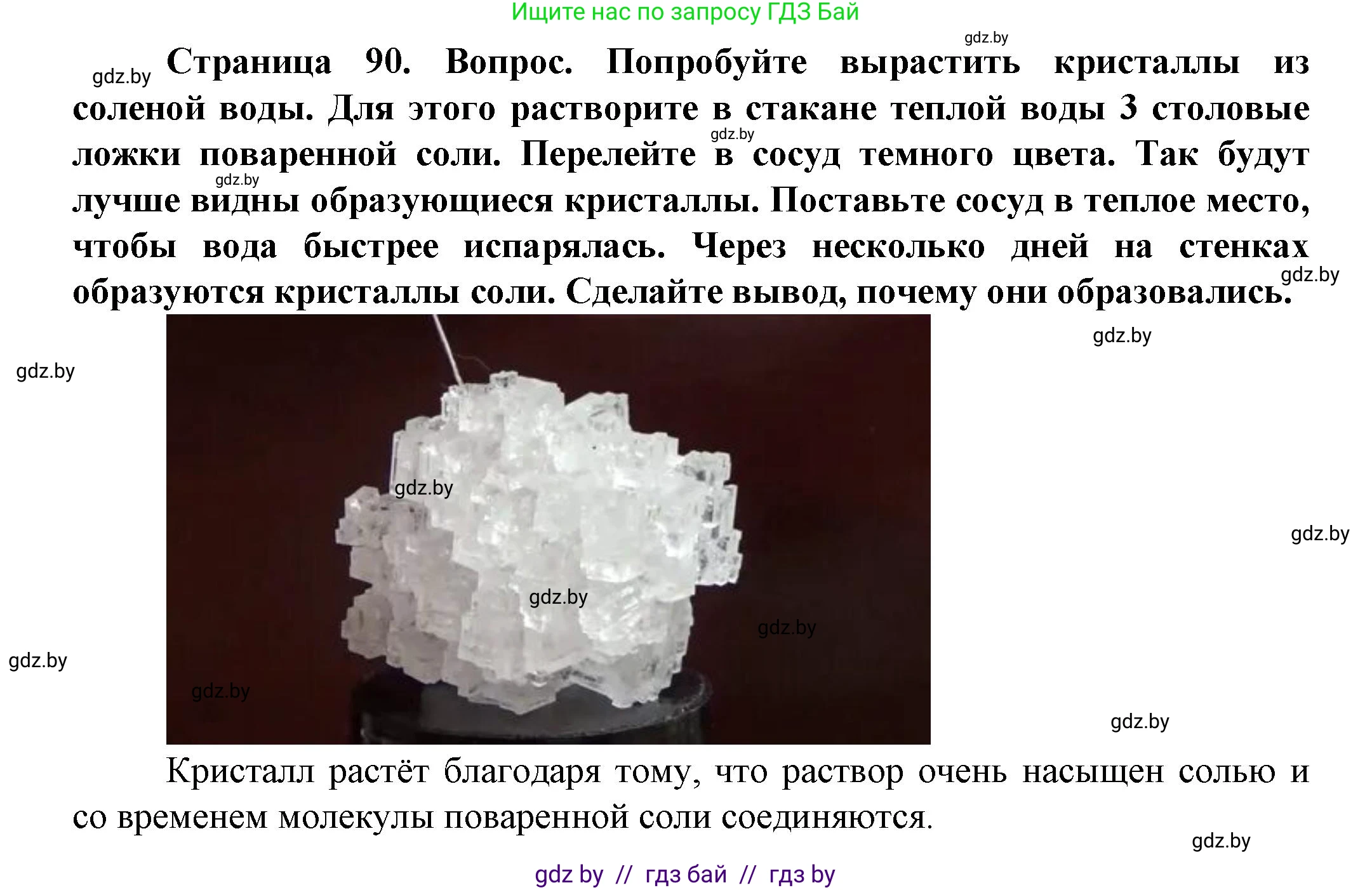 Человек и мир, 5 класс Учебник, авторы: Лопух Пётр Степанович, Сарычева Ольга Владимировна, Шкель Людмила Валерьевна, издательство Народная асвета, Минск, 2022, белого цвета, страница 90, Решение