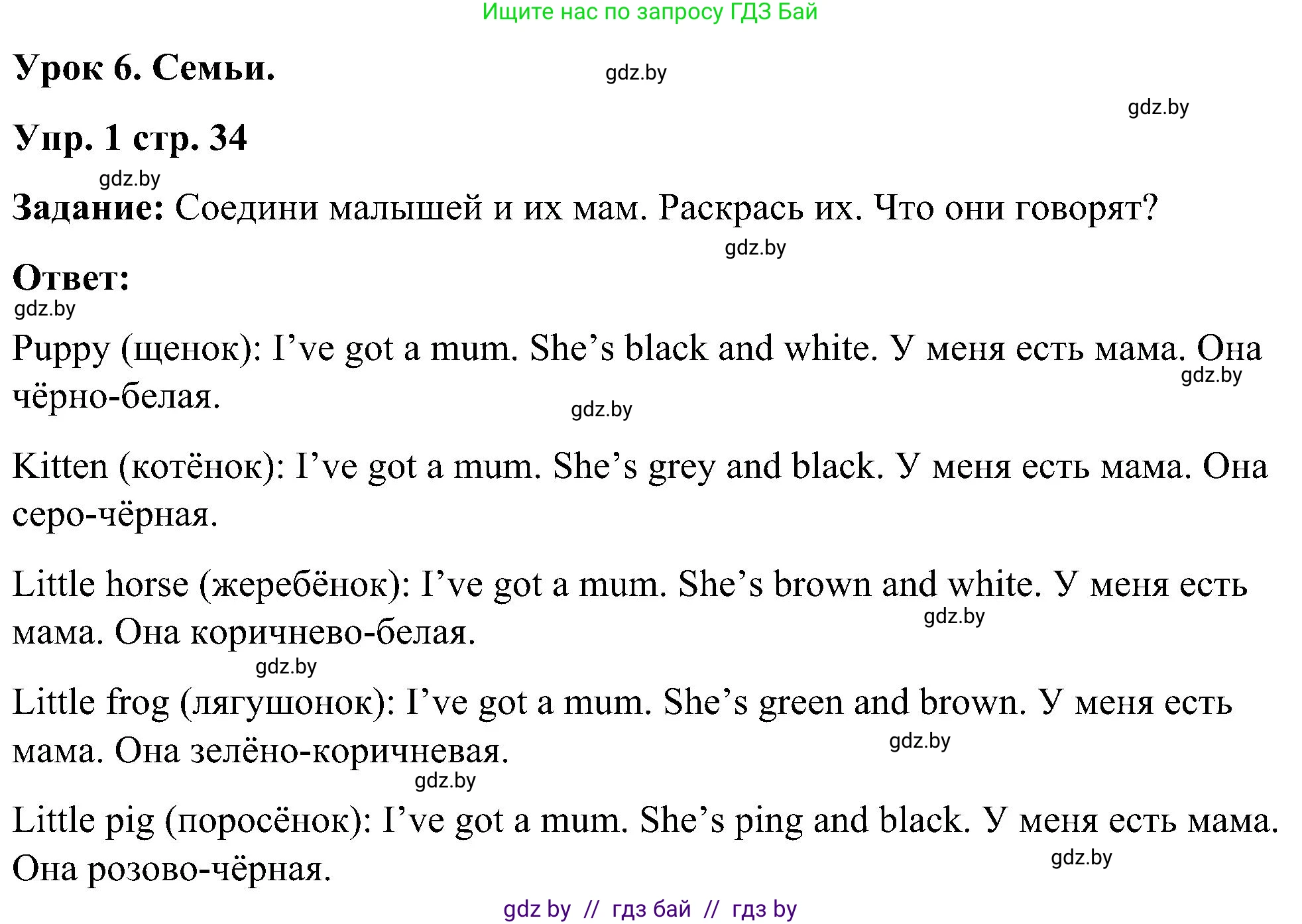 Английский язык (english), 3 класс практикум (activity book ), авторы: Лапицкая Людмила Михайловна (Lapitskaya Ludmila), Калишевич Алла Ивановна, Севрюкова Татьяна Юрьевна, Седунова Наталья Михайловна (Sedunova Natalia), издательство Аверсэв, Минск, 2023, зелёного цвета, Часть 1, страница 34, номер 1, Решение