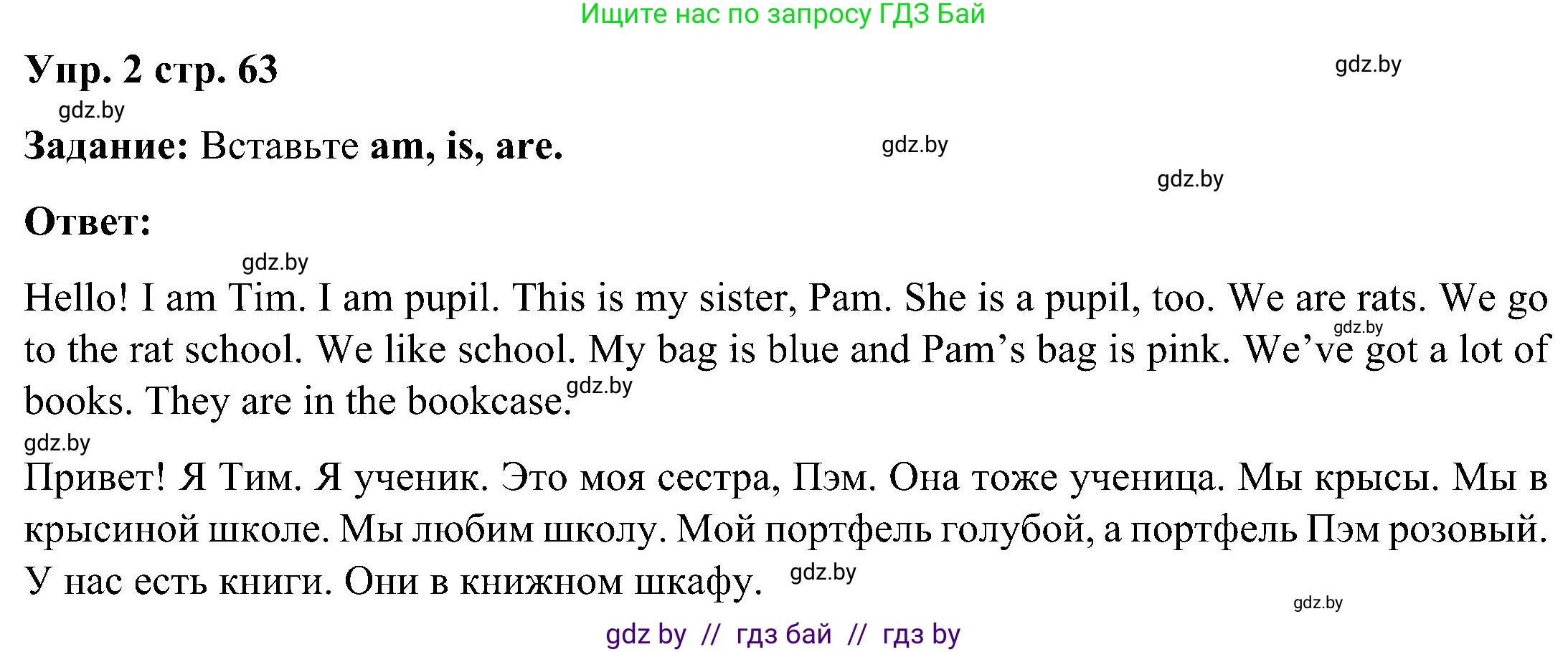 Английский язык (english), 3 класс практикум (activity book ), авторы: Лапицкая Людмила Михайловна (Lapitskaya Ludmila), Калишевич Алла Ивановна, Севрюкова Татьяна Юрьевна, Седунова Наталья Михайловна (Sedunova Natalia), издательство Аверсэв, Минск, 2023, зелёного цвета, Часть 2, страница 63, номер 2, Решение