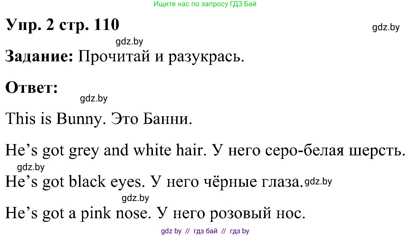 Английский язык (english), 3 класс практикум (activity book ), авторы: Лапицкая Людмила Михайловна (Lapitskaya Ludmila), Калишевич Алла Ивановна, Севрюкова Татьяна Юрьевна, Седунова Наталья Михайловна (Sedunova Natalia), издательство Аверсэв, Минск, 2023, зелёного цвета, Часть 2, страница 110, номер 2, Решение