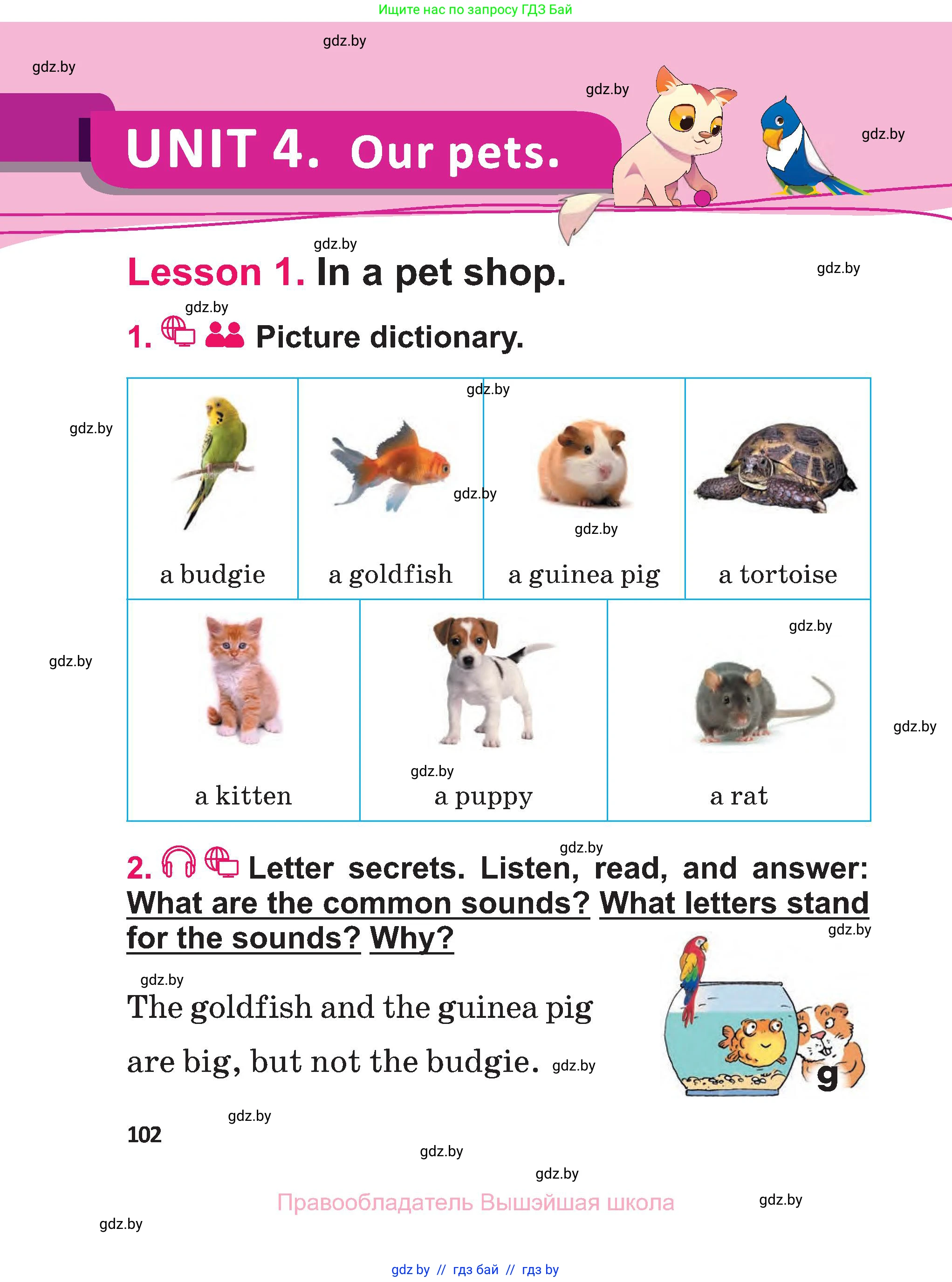 Английский язык (english), 3 класс Учебник, авторы: Лапицкая Людмила Михайловна (Lapitskaya Ludmila), Калишевич Алла Ивановна, Севрюкова Татьяна Юрьевна, Седунова Наталья Михайловна (Sedunova Natalia), издательство Вышэйшая школа, Минск, 2023, Часть 1, страница 102