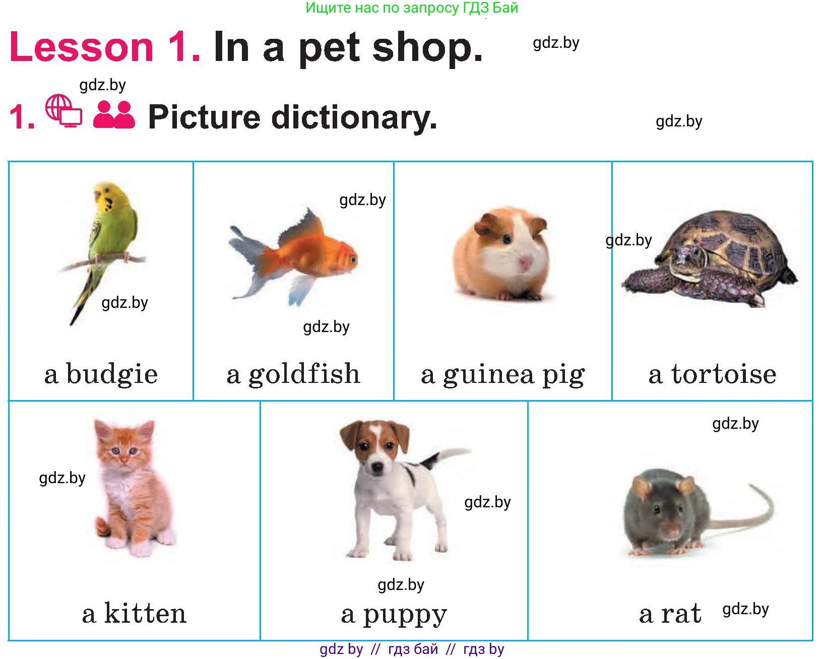 Английский язык (english), 3 класс Учебник, авторы: Лапицкая Людмила Михайловна (Lapitskaya Ludmila), Калишевич Алла Ивановна, Севрюкова Татьяна Юрьевна, Седунова Наталья Михайловна (Sedunova Natalia), издательство Вышэйшая школа, Минск, 2023, Часть 1, страница 102, номер 1, Условие