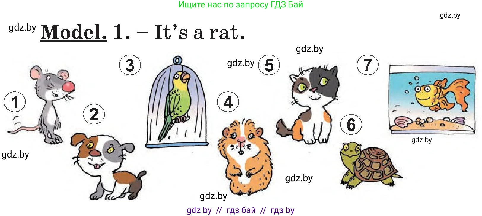 Английский язык (english), 3 класс Учебник, авторы: Лапицкая Людмила Михайловна (Lapitskaya Ludmila), Калишевич Алла Ивановна, Севрюкова Татьяна Юрьевна, Седунова Наталья Михайловна (Sedunova Natalia), издательство Вышэйшая школа, Минск, 2023, Часть 1, страница 104, номер 5, Условие (продолжение 2)