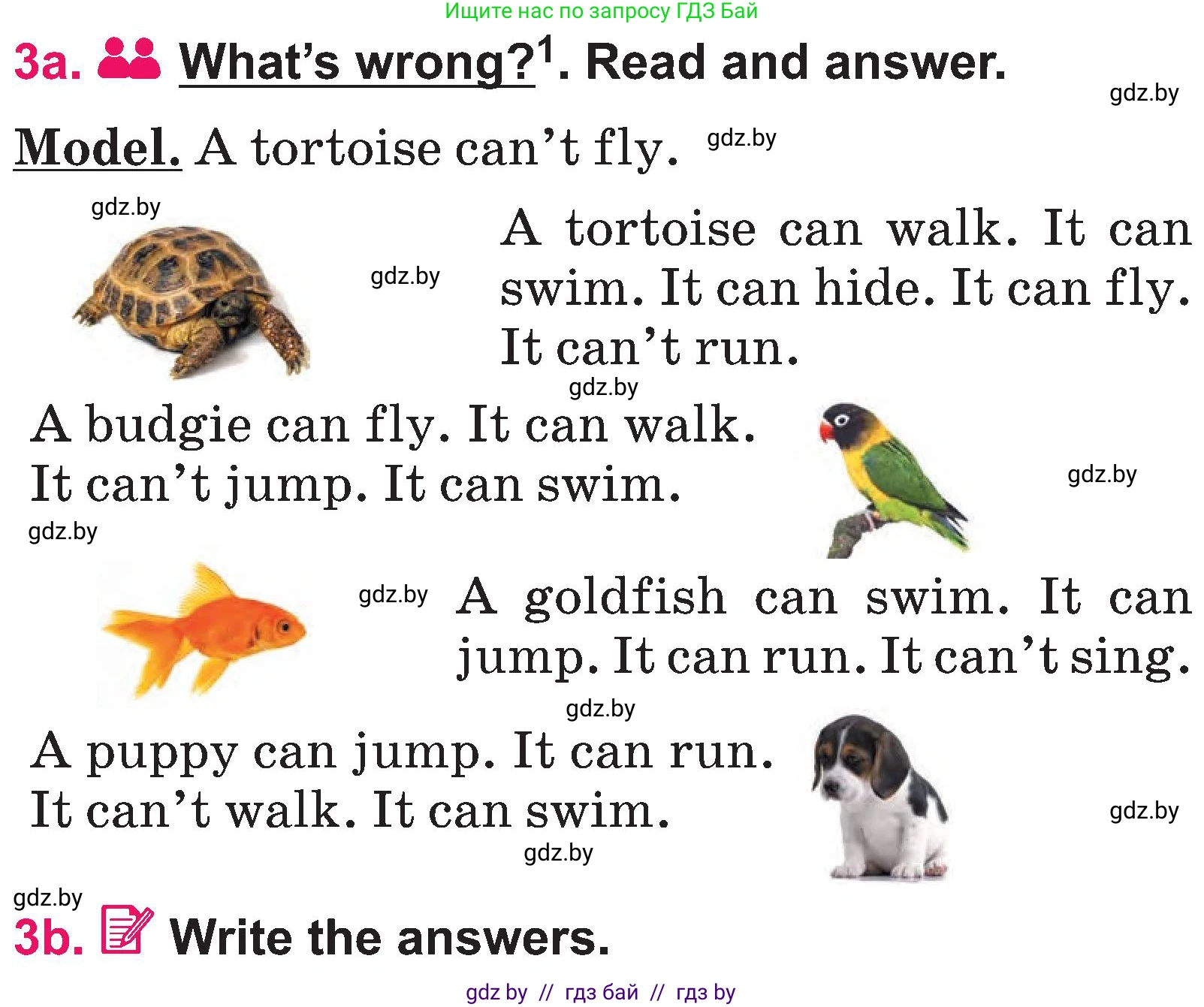 Английский язык (english), 3 класс Учебник, авторы: Лапицкая Людмила Михайловна (Lapitskaya Ludmila), Калишевич Алла Ивановна, Севрюкова Татьяна Юрьевна, Седунова Наталья Михайловна (Sedunova Natalia), издательство Вышэйшая школа, Минск, 2023, Часть 1, страница 117, номер 3, Условие