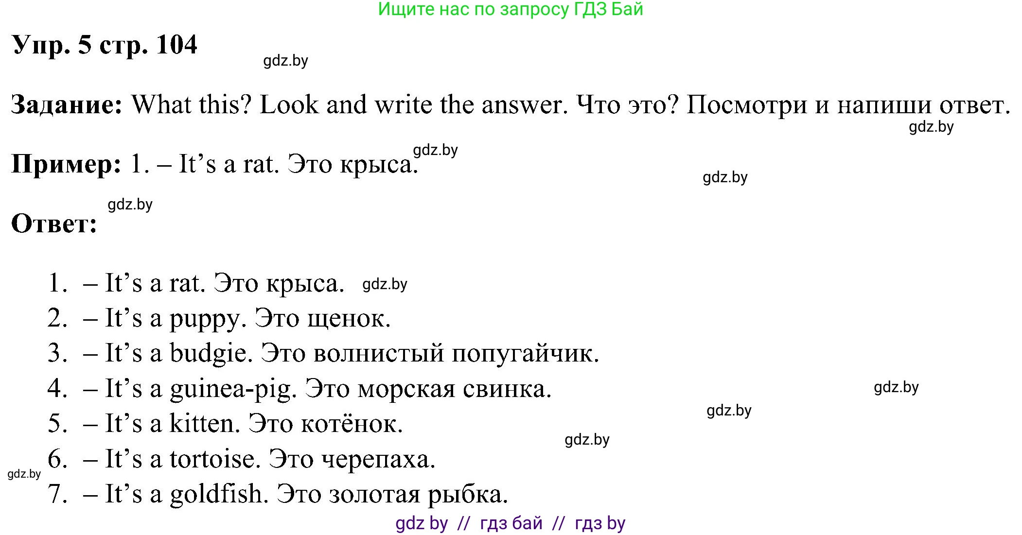 Английский язык (english), 3 класс Учебник, авторы: Лапицкая Людмила Михайловна (Lapitskaya Ludmila), Калишевич Алла Ивановна, Севрюкова Татьяна Юрьевна, Седунова Наталья Михайловна (Sedunova Natalia), издательство Вышэйшая школа, Минск, 2023, Часть 1, страница 104, номер 5, Решение