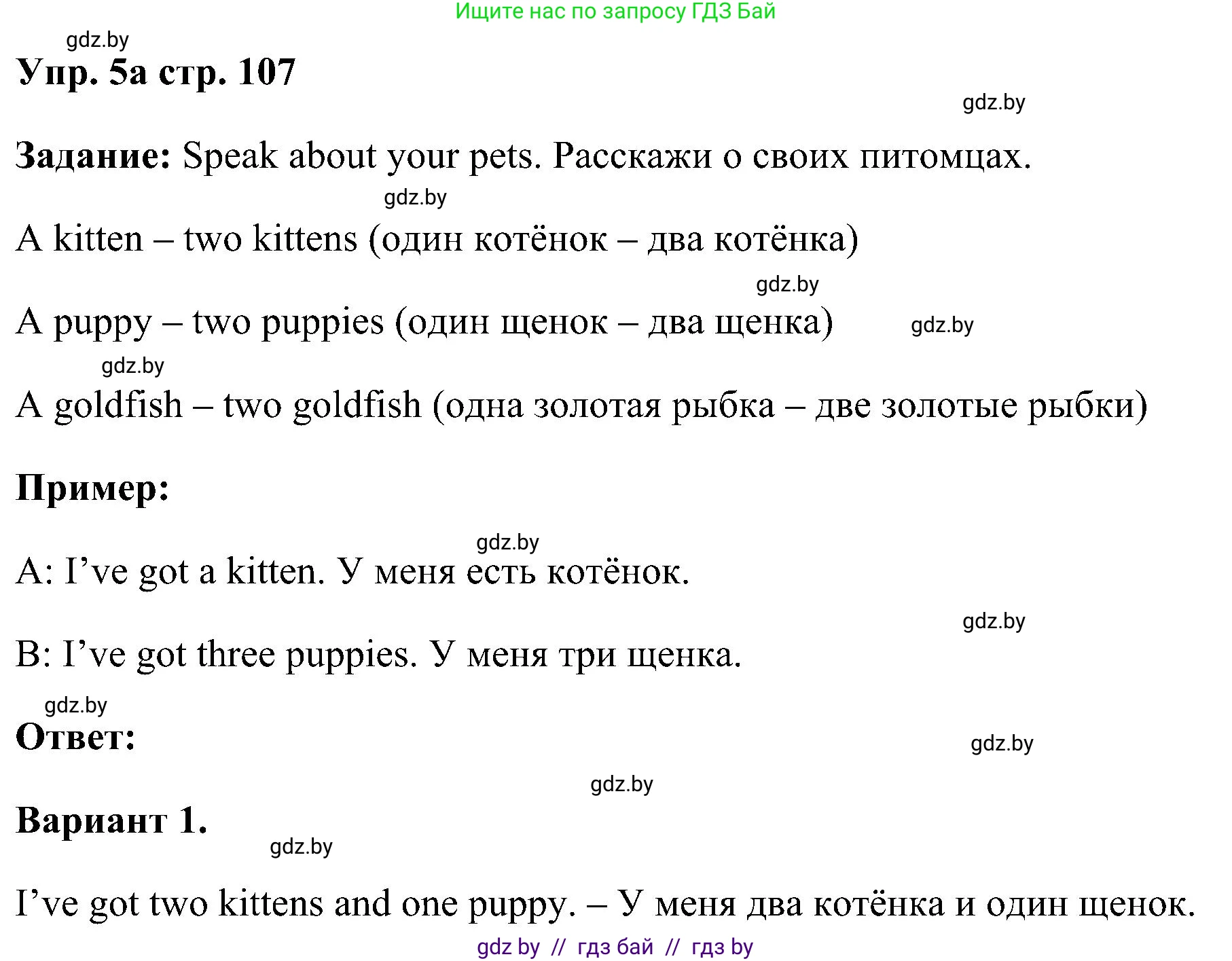 Английский язык (english), 3 класс Учебник, авторы: Лапицкая Людмила Михайловна (Lapitskaya Ludmila), Калишевич Алла Ивановна, Севрюкова Татьяна Юрьевна, Седунова Наталья Михайловна (Sedunova Natalia), издательство Вышэйшая школа, Минск, 2023, Часть 1, страница 107, номер 5, Решение