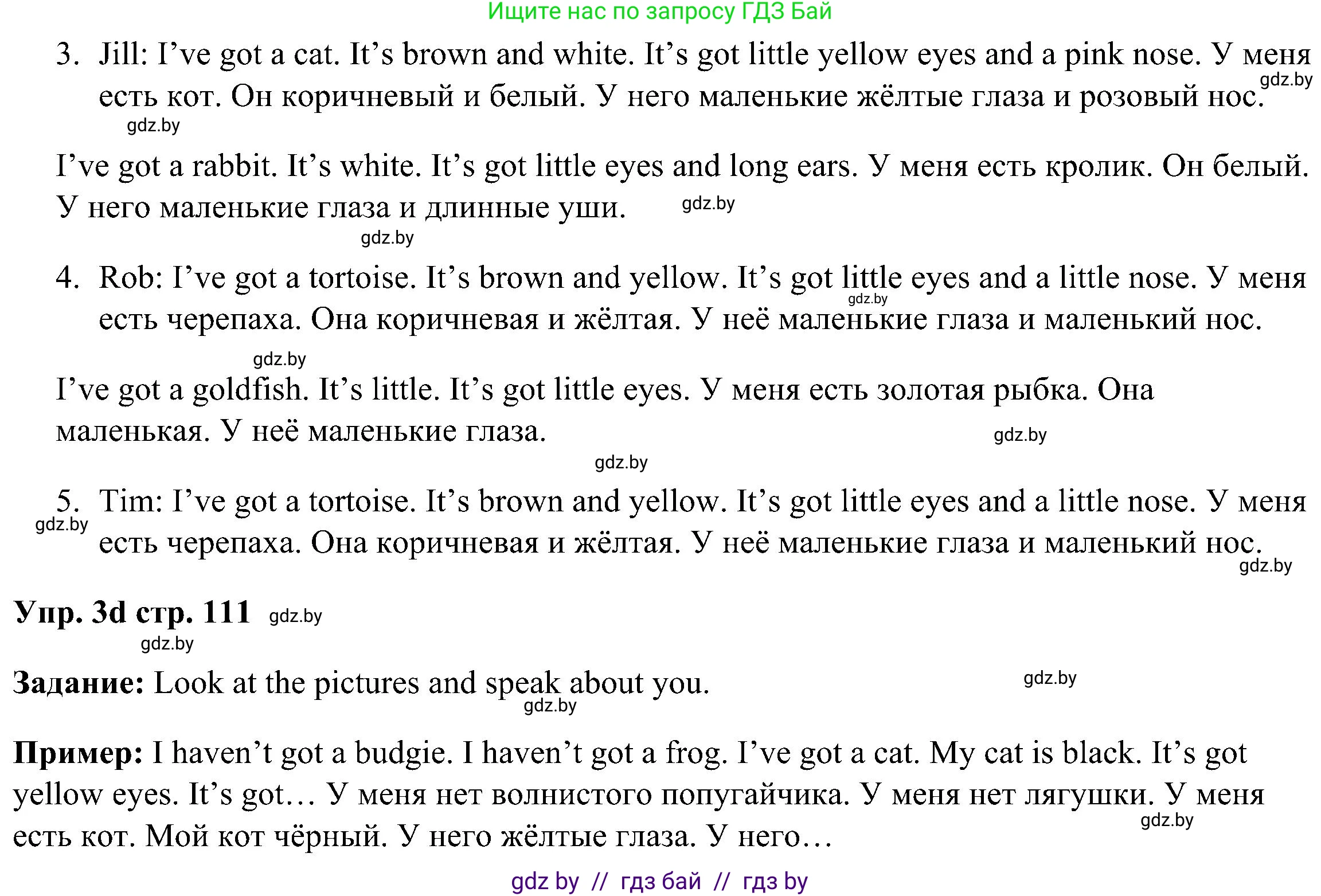 Английский язык (english), 3 класс Учебник, авторы: Лапицкая Людмила Михайловна (Lapitskaya Ludmila), Калишевич Алла Ивановна, Севрюкова Татьяна Юрьевна, Седунова Наталья Михайловна (Sedunova Natalia), издательство Вышэйшая школа, Минск, 2023, Часть 1, страница 110, номер 3, Решение (продолжение 2)