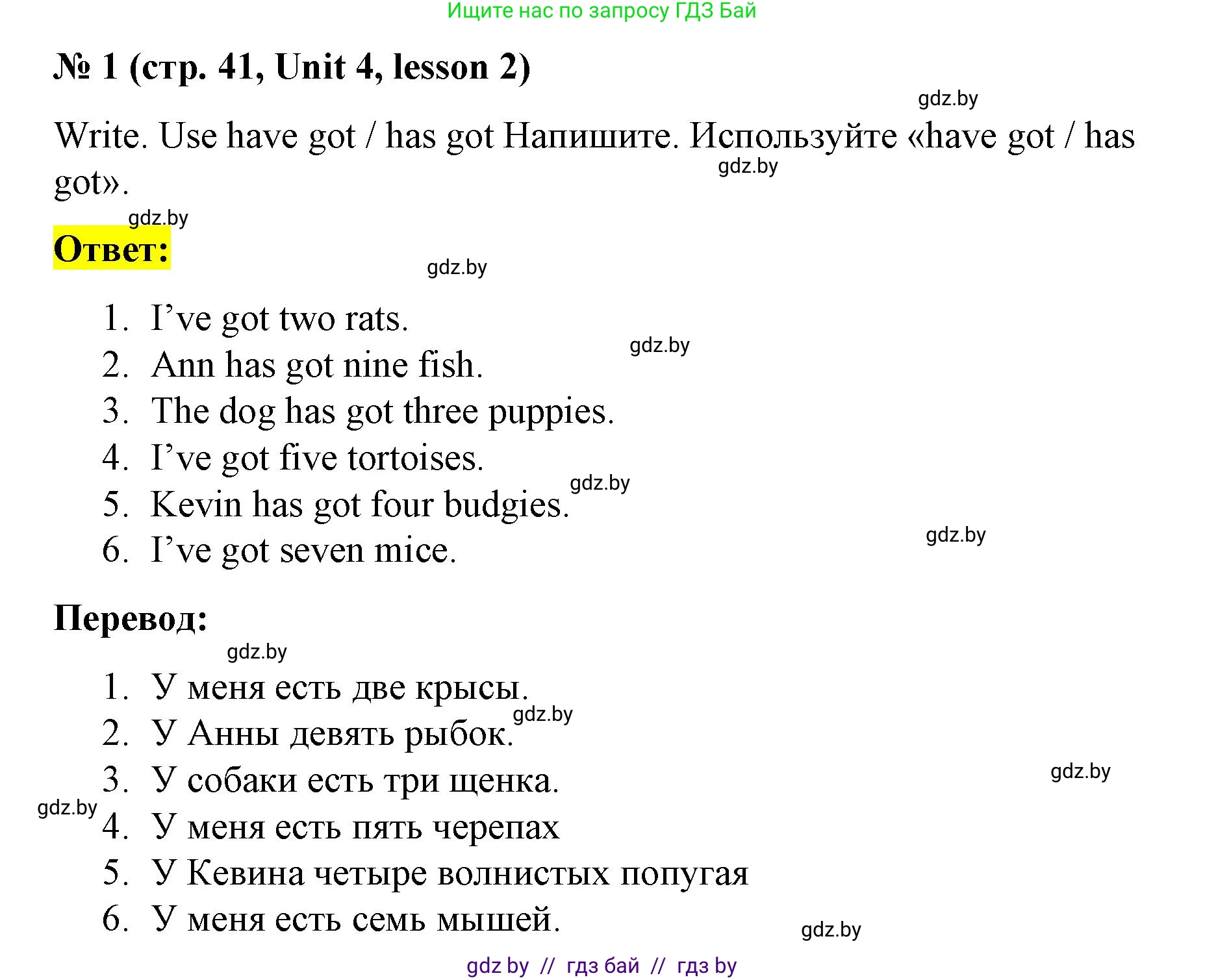 Английский язык (english), 3 класс практикум по грамматике (grammar), автор: Севрюкова Татьяна Юрьевна, издательство Аверсэв, Минск, 2023, салатового цвета, страница 41, номер 1, Решение