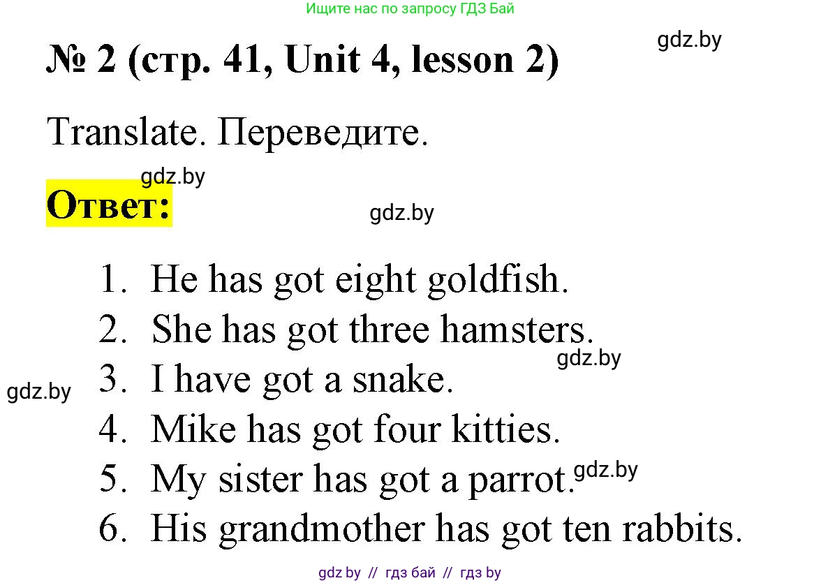 Английский язык (english), 3 класс практикум по грамматике (grammar), автор: Севрюкова Татьяна Юрьевна, издательство Аверсэв, Минск, 2023, салатового цвета, страница 41, номер 2, Решение