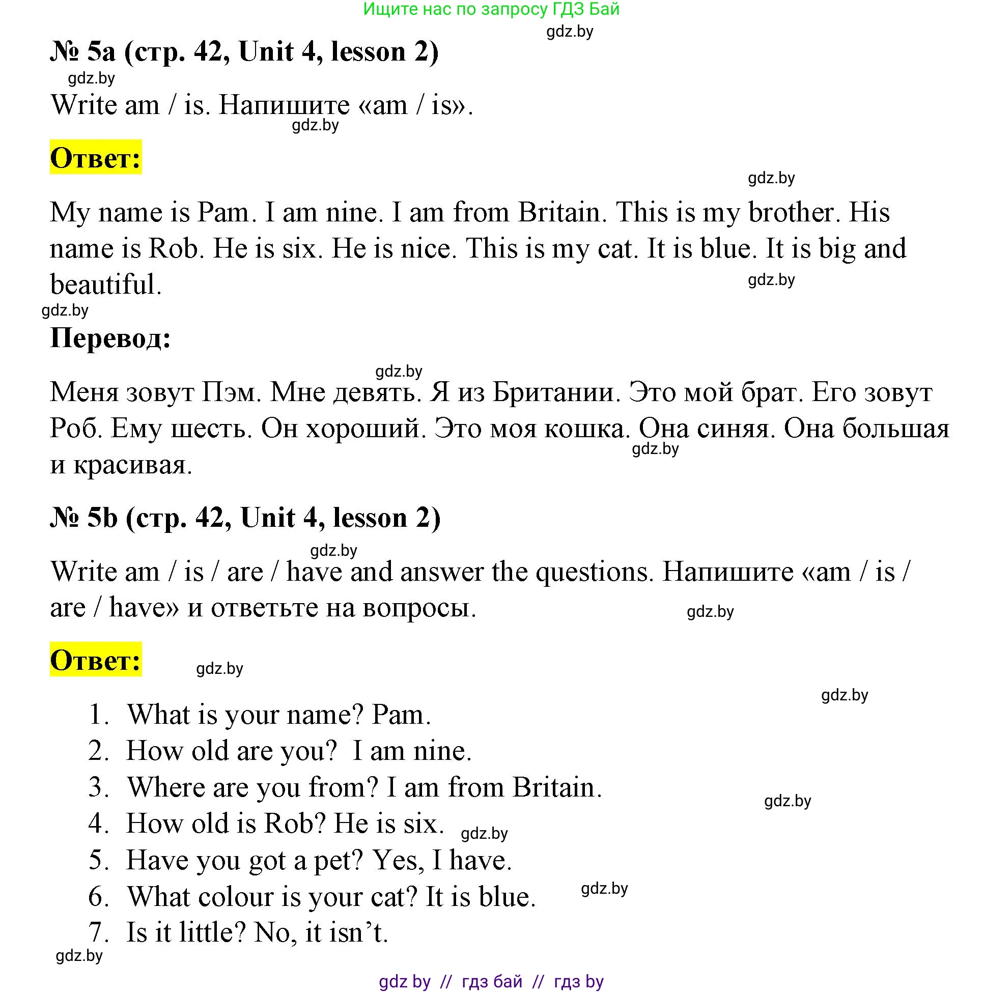 Английский язык (english), 3 класс практикум по грамматике (grammar), автор: Севрюкова Татьяна Юрьевна, издательство Аверсэв, Минск, 2023, салатового цвета, страница 42, номер 5, Решение