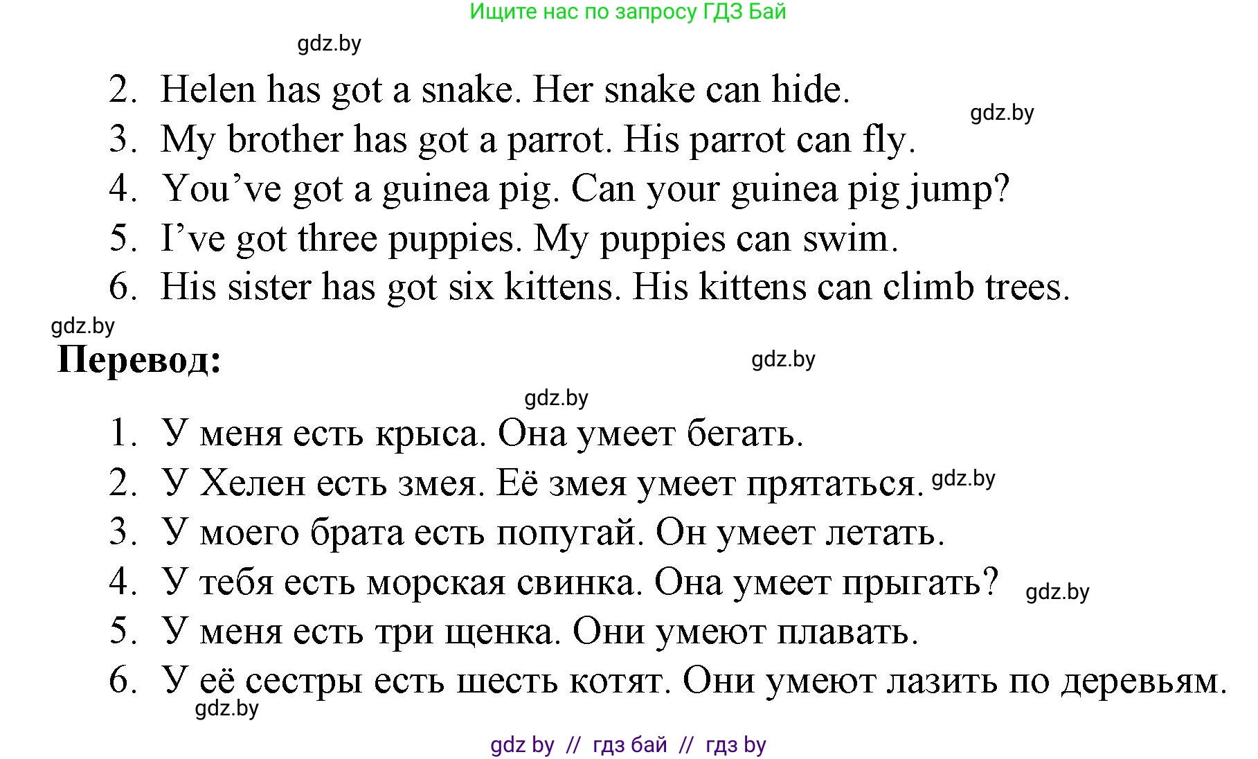 Английский язык (english), 3 класс практикум по грамматике (grammar), автор: Севрюкова Татьяна Юрьевна, издательство Аверсэв, Минск, 2023, салатового цвета, страница 45, номер 4, Решение (продолжение 2)