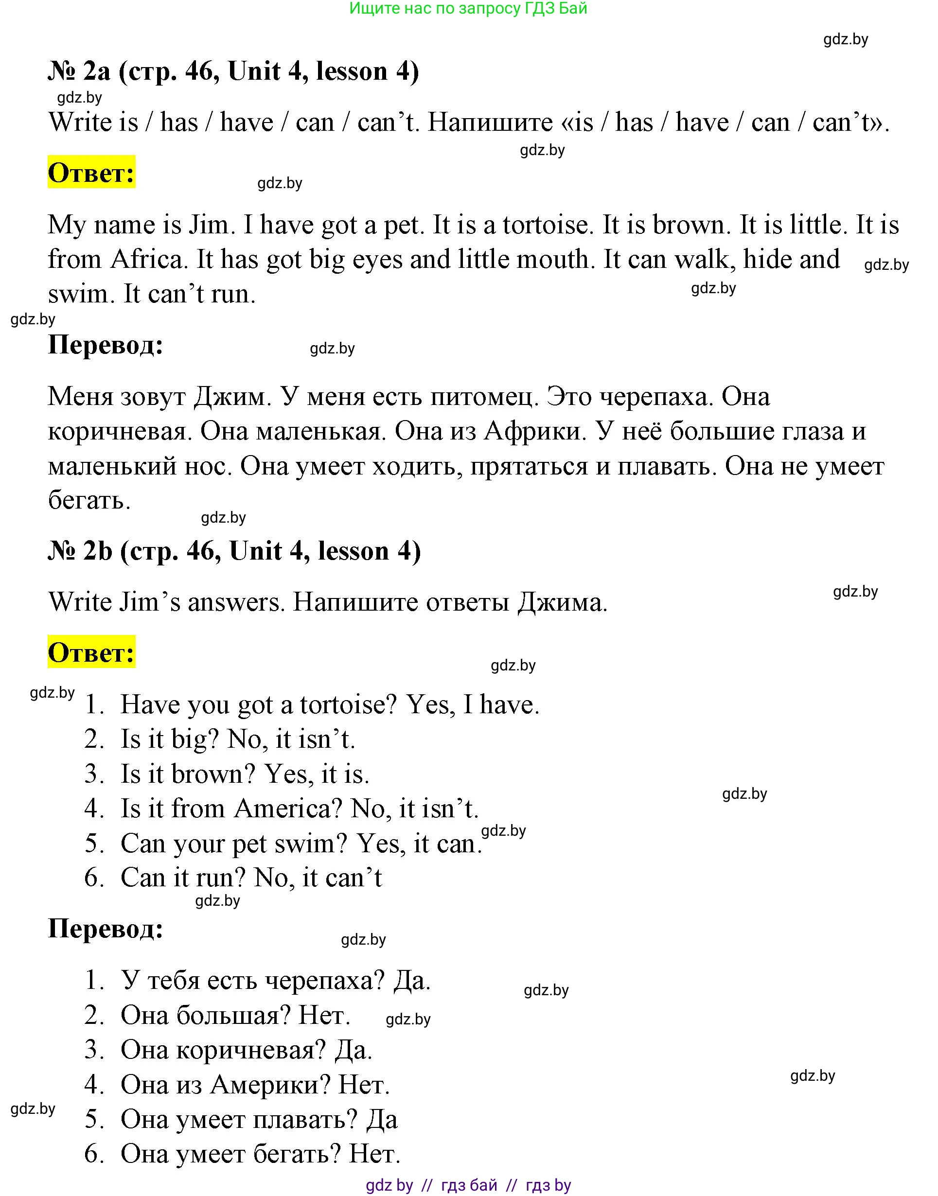 Английский язык (english), 3 класс практикум по грамматике (grammar), автор: Севрюкова Татьяна Юрьевна, издательство Аверсэв, Минск, 2023, салатового цвета, страница 46, номер 2, Решение