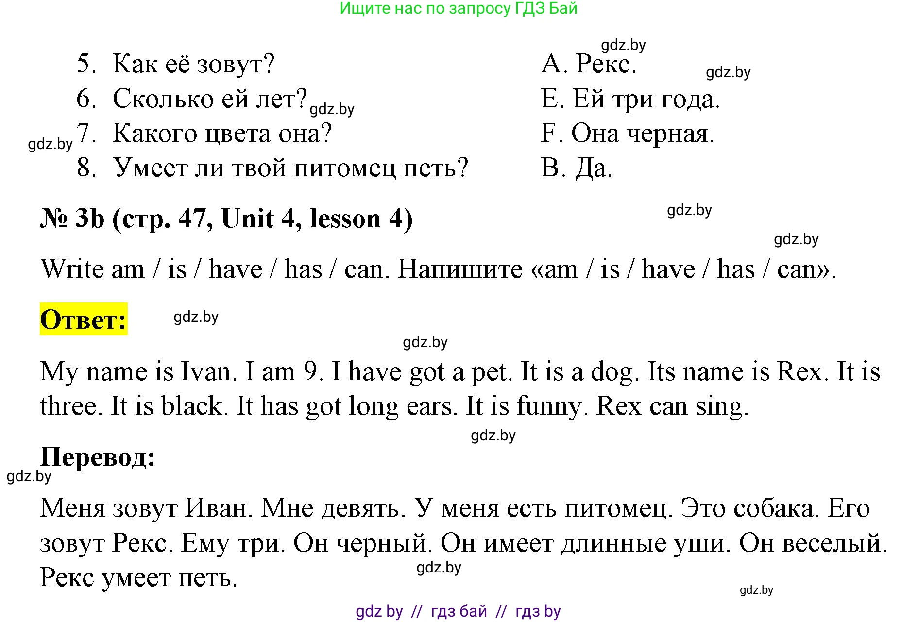 Английский язык (english), 3 класс практикум по грамматике (grammar), автор: Севрюкова Татьяна Юрьевна, издательство Аверсэв, Минск, 2023, салатового цвета, страница 46, номер 3, Решение (продолжение 2)