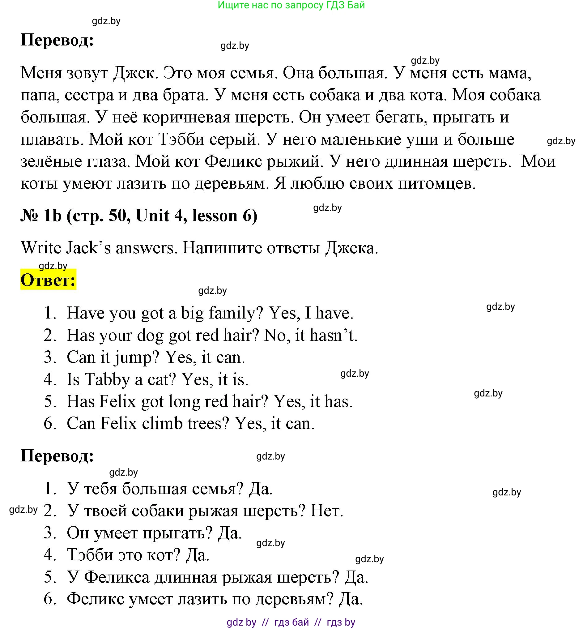 Английский язык (english), 3 класс практикум по грамматике (grammar), автор: Севрюкова Татьяна Юрьевна, издательство Аверсэв, Минск, 2023, салатового цвета, страница 49, номер 1, Решение (продолжение 2)