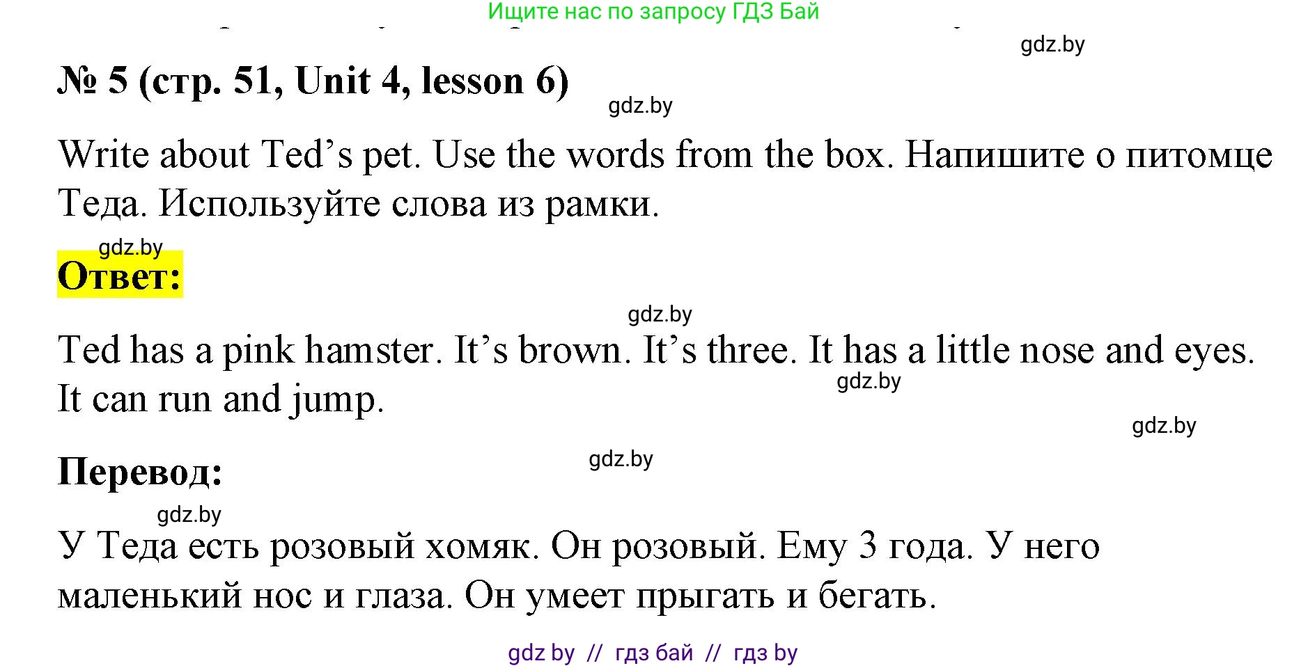 Английский язык (english), 3 класс практикум по грамматике (grammar), автор: Севрюкова Татьяна Юрьевна, издательство Аверсэв, Минск, 2023, салатового цвета, страница 51, номер 5, Решение