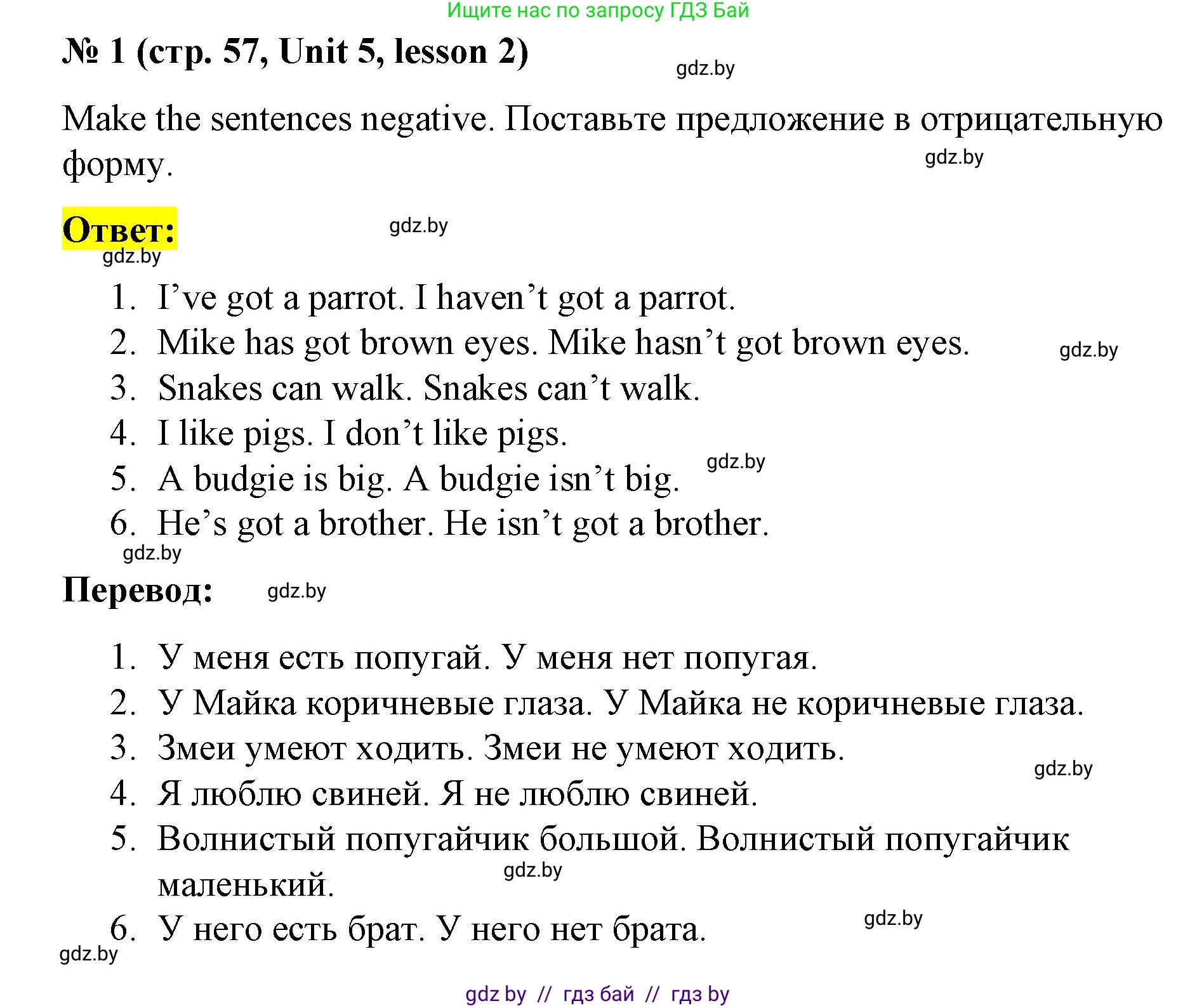 Английский язык (english), 3 класс практикум по грамматике (grammar), автор: Севрюкова Татьяна Юрьевна, издательство Аверсэв, Минск, 2023, салатового цвета, страница 57, номер 1, Решение