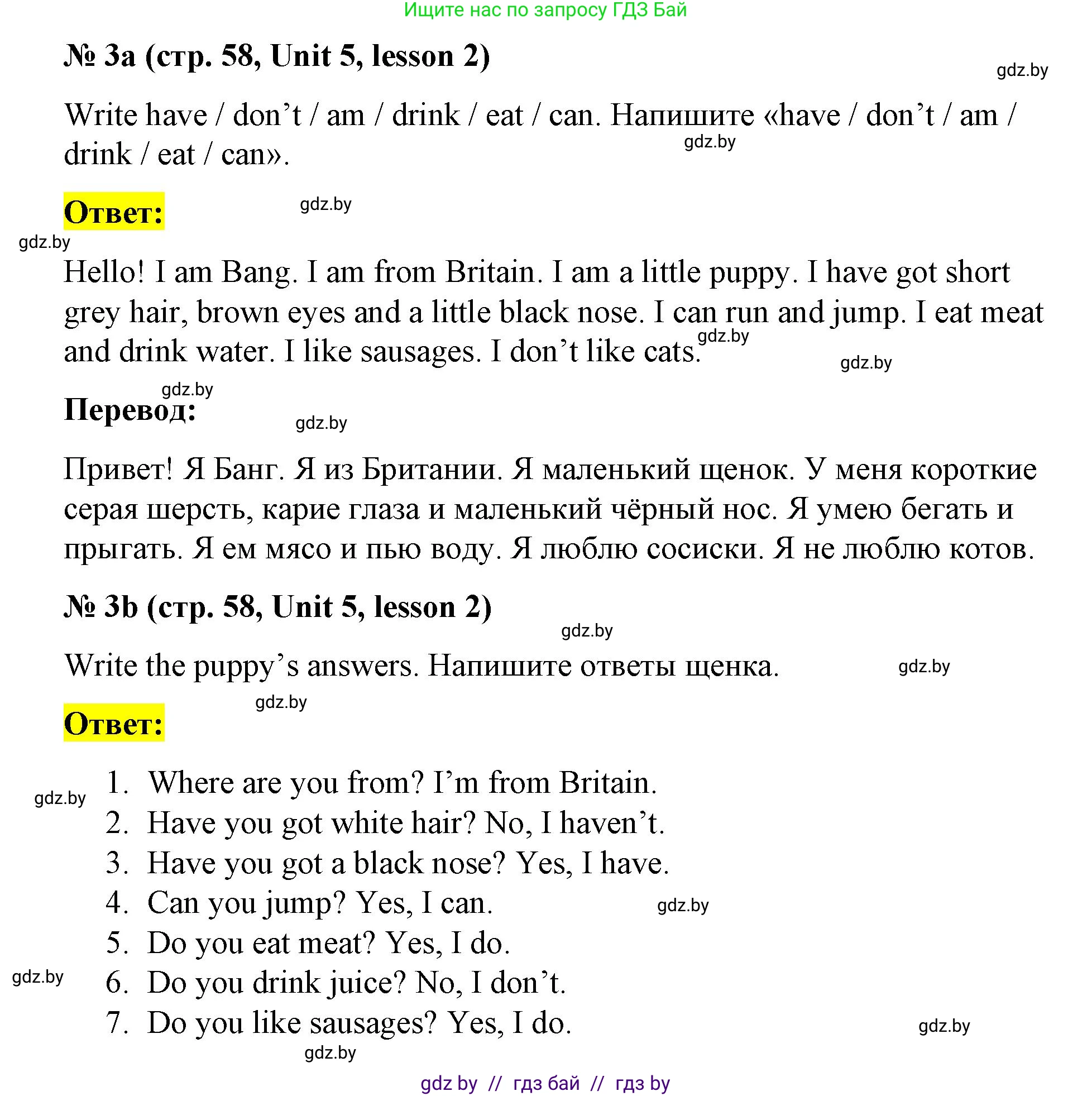 Английский язык (english), 3 класс практикум по грамматике (grammar), автор: Севрюкова Татьяна Юрьевна, издательство Аверсэв, Минск, 2023, салатового цвета, страница 58, номер 3, Решение