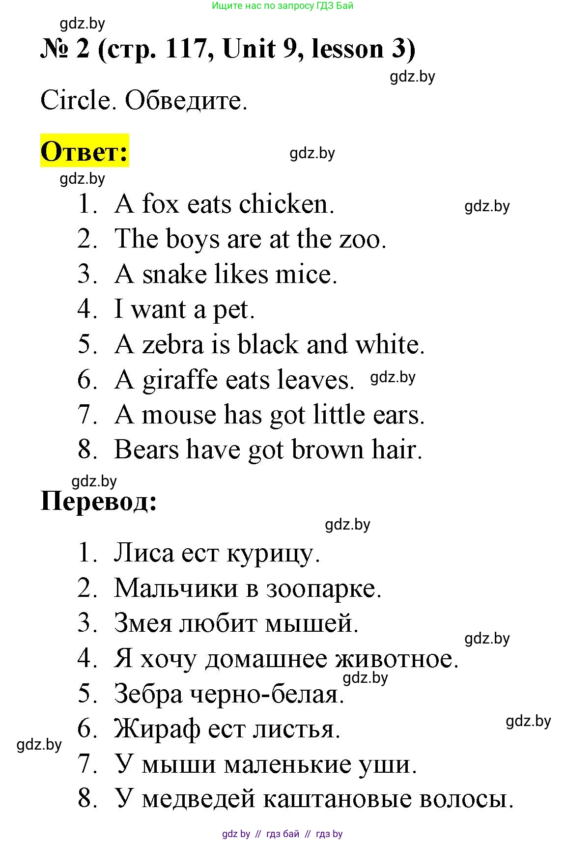 Английский язык (english), 3 класс практикум по грамматике (grammar), автор: Севрюкова Татьяна Юрьевна, издательство Аверсэв, Минск, 2023, салатового цвета, страница 117, номер 2, Решение