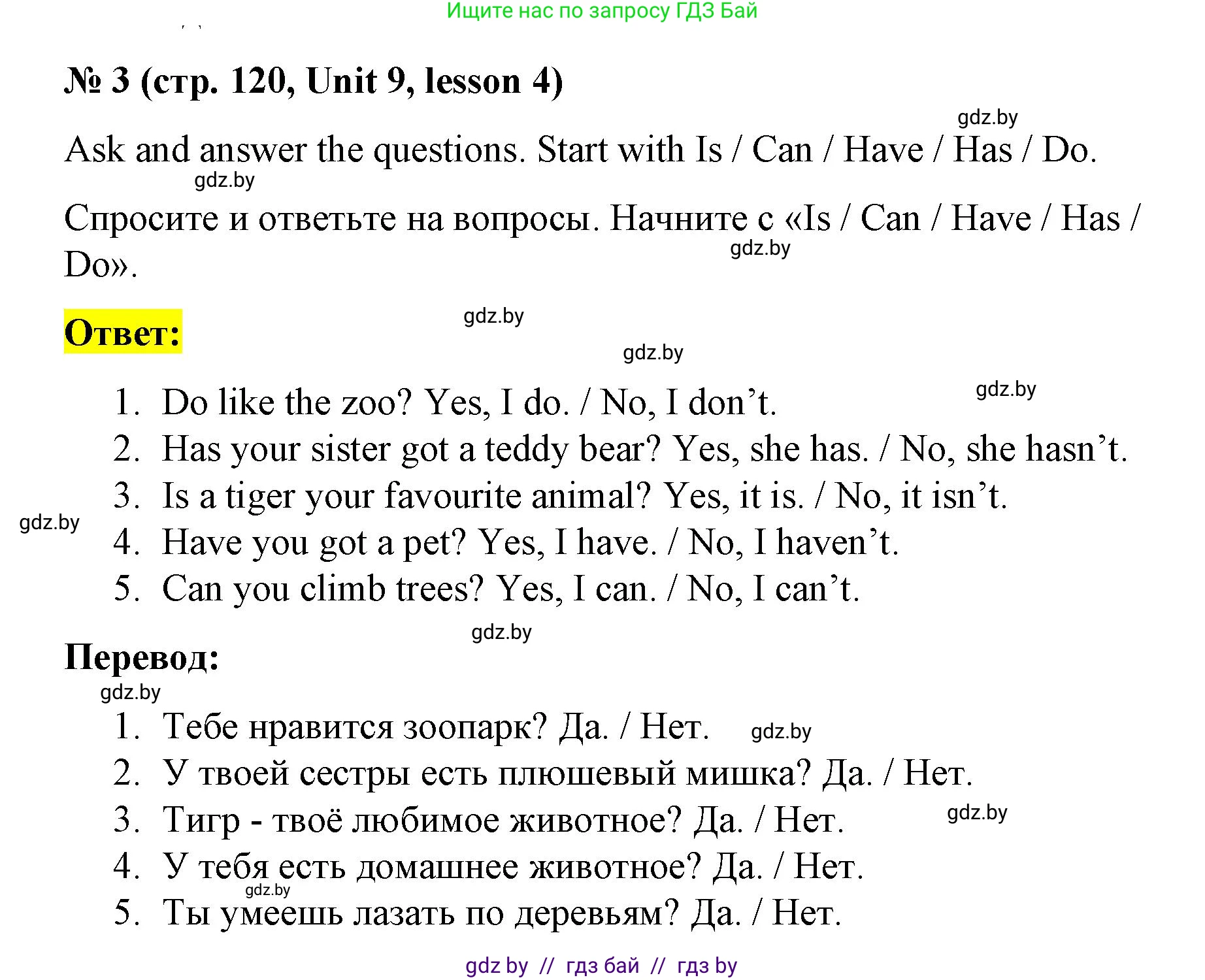 Английский язык (english), 3 класс практикум по грамматике (grammar), автор: Севрюкова Татьяна Юрьевна, издательство Аверсэв, Минск, 2023, салатового цвета, страница 120, номер 3, Решение