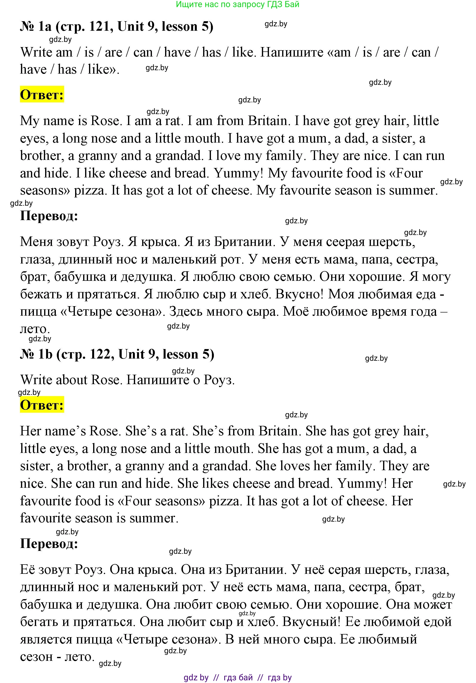 Английский язык (english), 3 класс практикум по грамматике (grammar), автор: Севрюкова Татьяна Юрьевна, издательство Аверсэв, Минск, 2023, салатового цвета, страница 121, номер 1, Решение