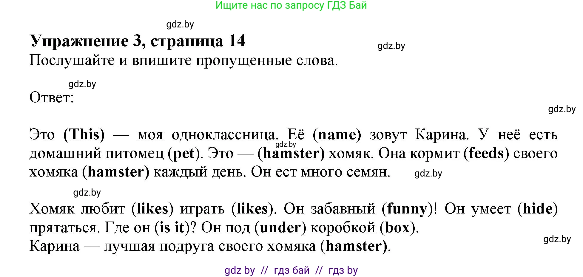 Английский язык (english), 4 класс практикум (activity book ), авторы: Лапицкая Людмила Михайловна (Lapitskaya Ludmila), Седунова Наталья Михайловна (Sedunova Natalia), издательство Аверсэв, Минск, 2025, Часть 2, страница 14, номер 3, Решение