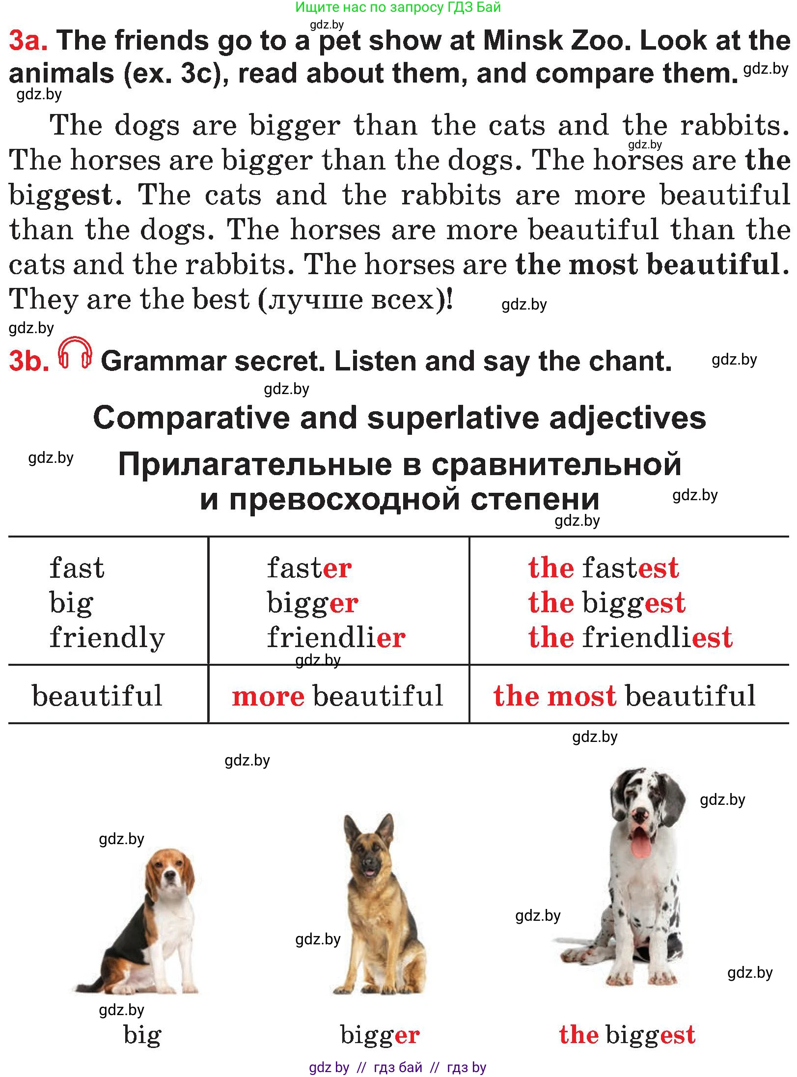 Английский язык (english), 4 класс Учебник (Student's book), авторы: Лапицкая Людмила Михайловна (Lapitskaya Ludmila), Седунова Наталья Михайловна (Sedunova Natalia), издательство Адукацыя i выхаванне, Минск, 2024, бирюзового цвета, Часть ( Part) 1, страница 135, номер 3, Условие