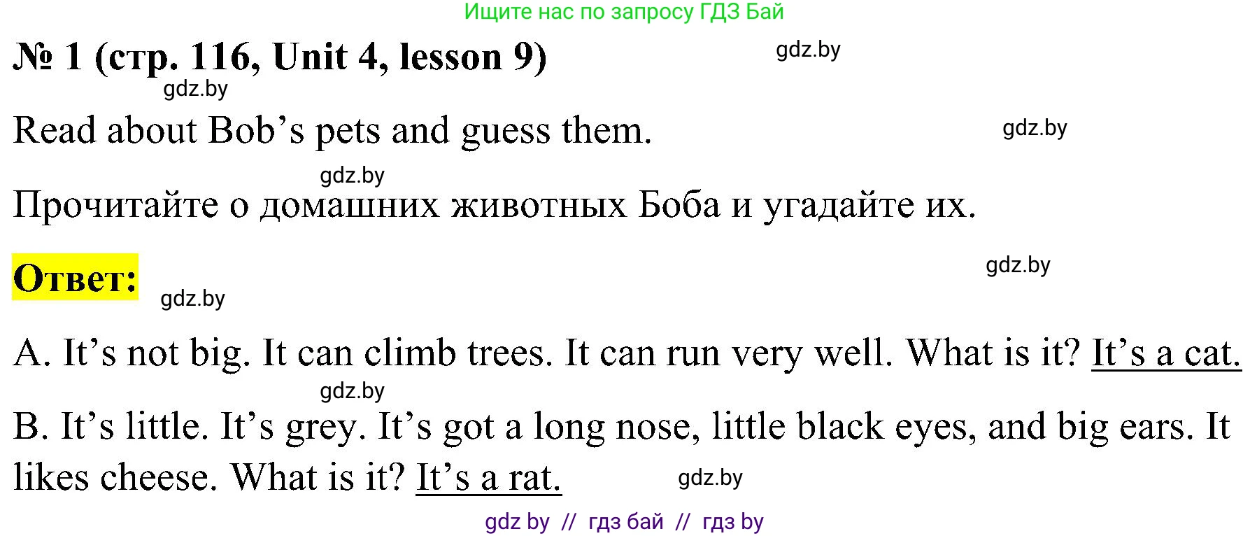 Английский язык (english), 4 класс Учебник (Student's book), авторы: Лапицкая Людмила Михайловна (Lapitskaya Ludmila), Седунова Наталья Михайловна (Sedunova Natalia), издательство Адукацыя i выхаванне, Минск, 2024, бирюзового цвета, Часть ( Part) 1, страница 116, номер 1, Решение 2