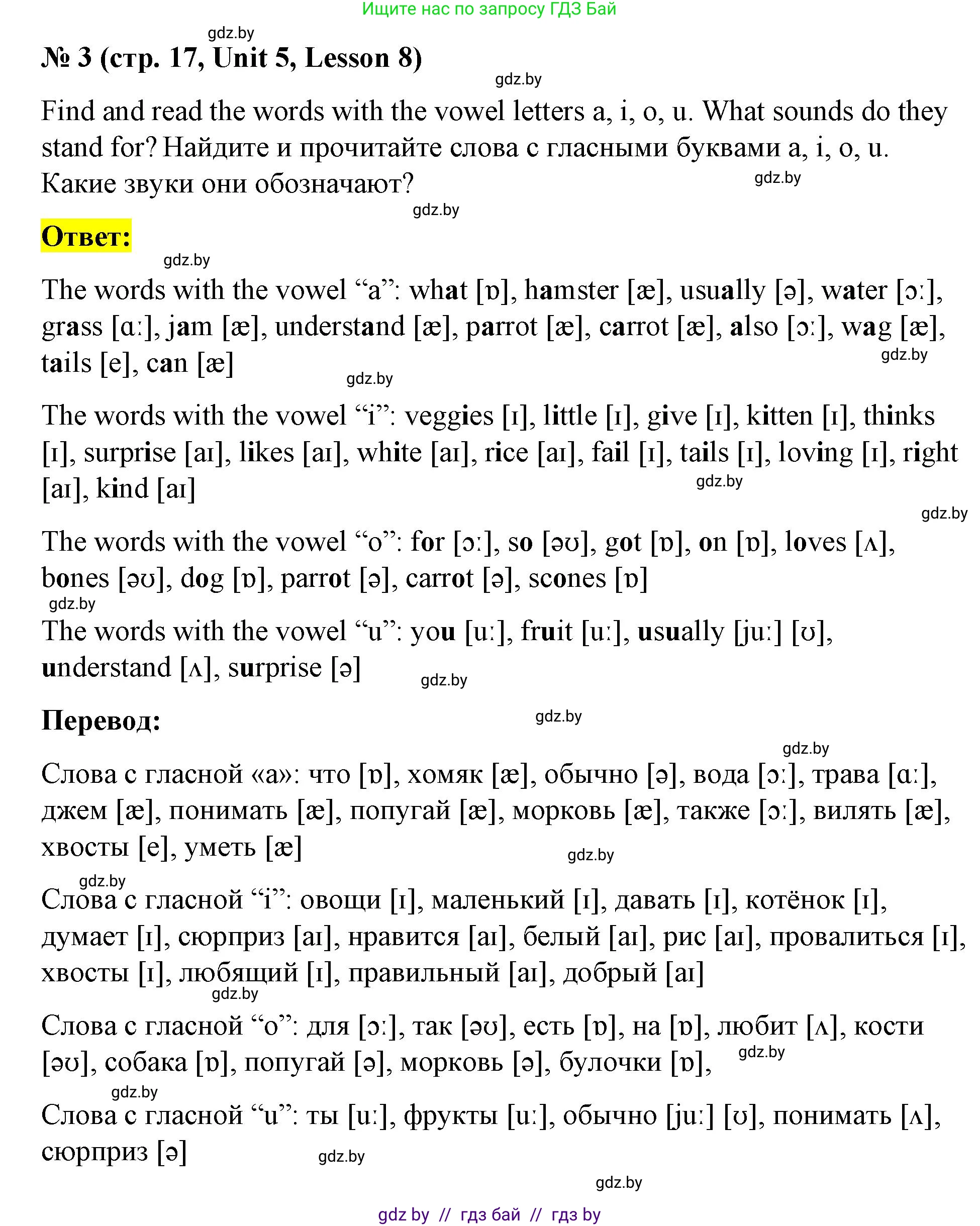 Английский язык (english), 4 класс Учебник (Student's book), авторы: Лапицкая Людмила Михайловна (Lapitskaya Ludmila), Седунова Наталья Михайловна (Sedunova Natalia), издательство Адукацыя i выхаванне, Минск, 2024, бирюзового цвета, Часть ( Part) 2, страница 17, номер 3, Решение 2