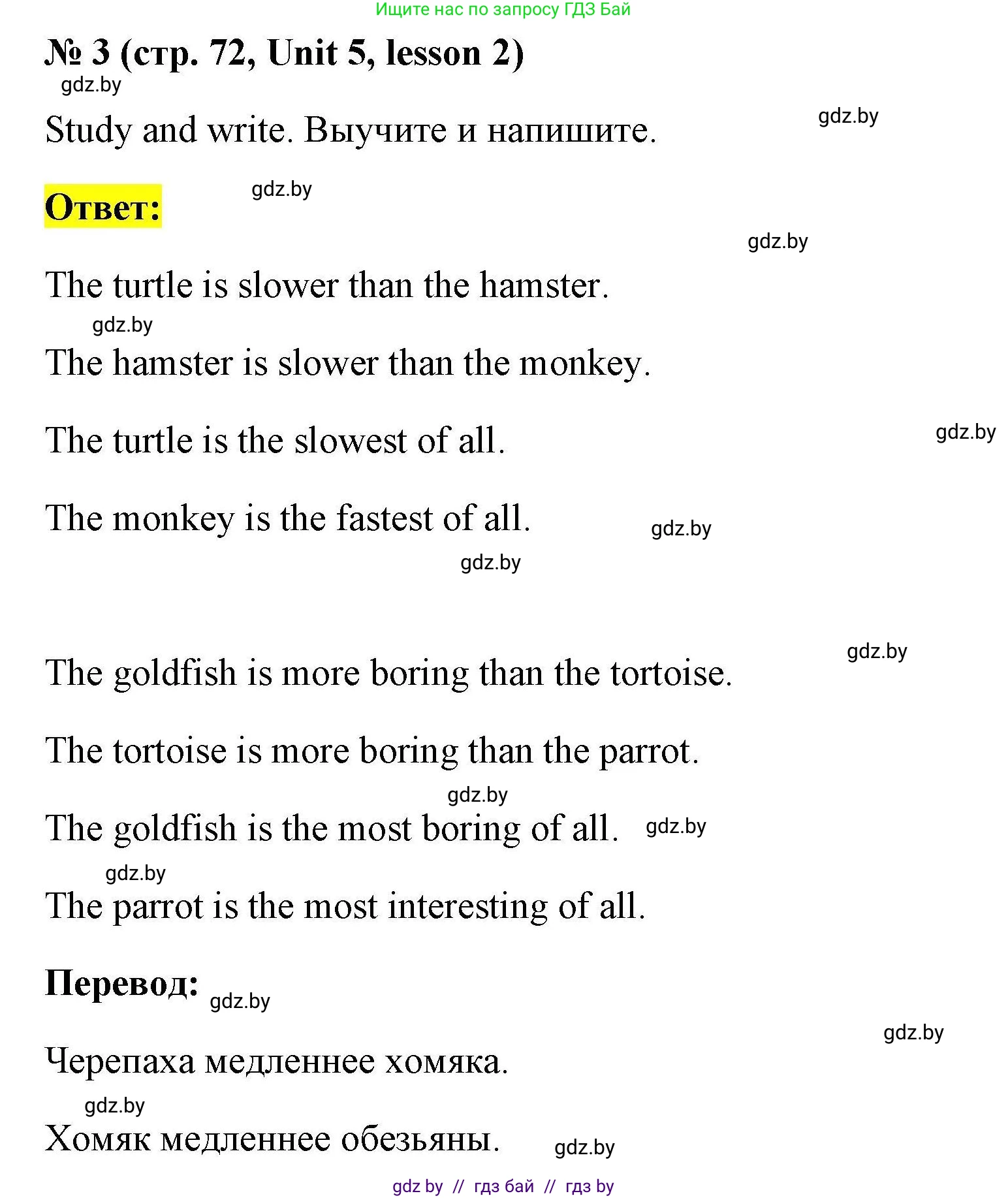 Английский язык (english), 4 класс практикум по грамматике (grammar), автор: Севрюкова Татьяна Юрьевна, издательство Аверсэв, Минск, 2023, страница 72, номер 3, Решение