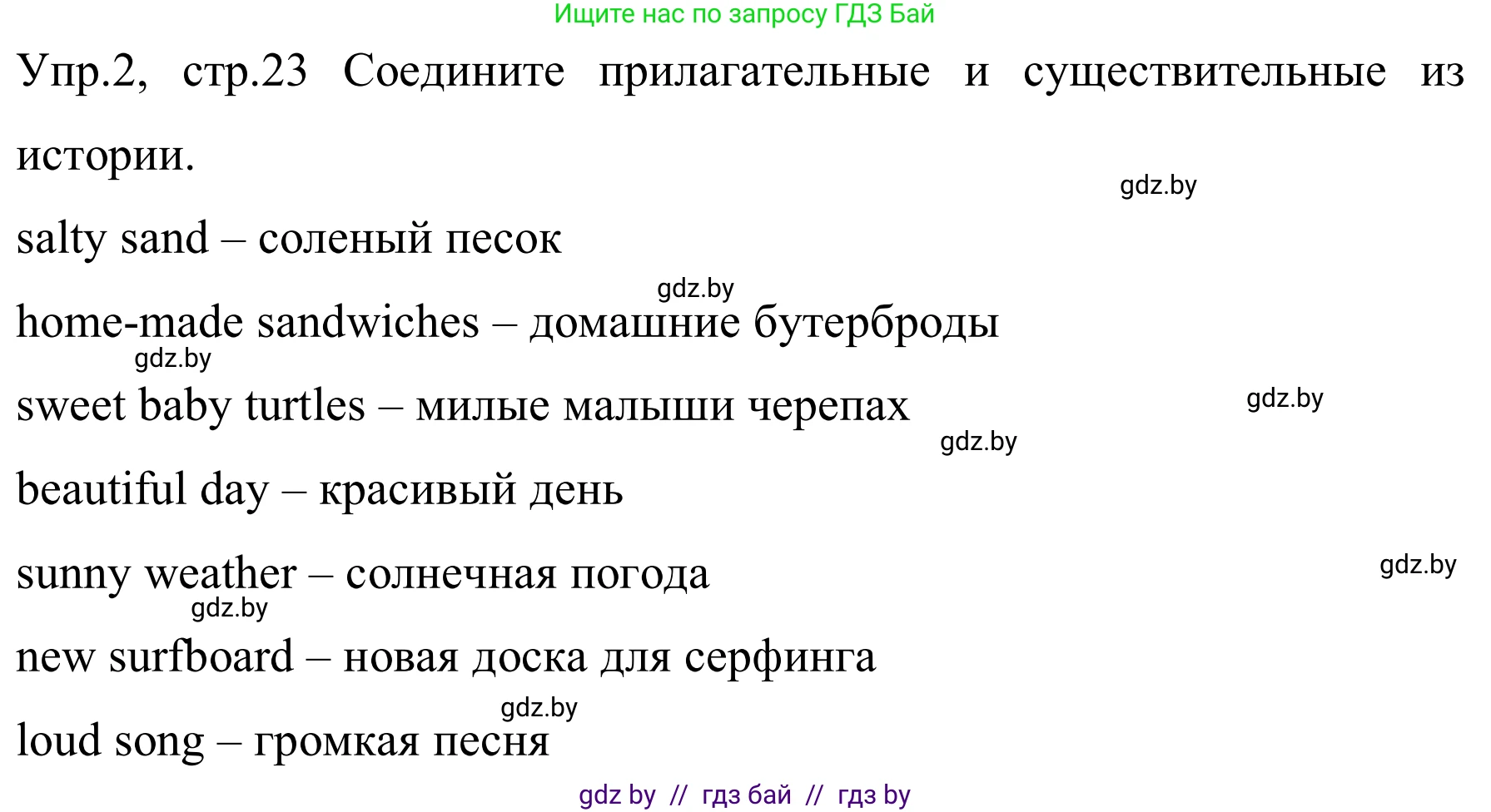 Английский язык (english), 5 класс практикум (activity book ), авторы: Демченко Наталья Валентиновна, Севрюкова Татьяна Юрьевна, Наумова Елена Георгиевна, Лапицкая Людмила Михайловна (Lapitskaya Ludmila), Юхнель Наталья Валентиновна, издательство Аверсэв, Минск, 2019, зелёного цвета, Часть 1, страница 23, номер 2, Решение 2