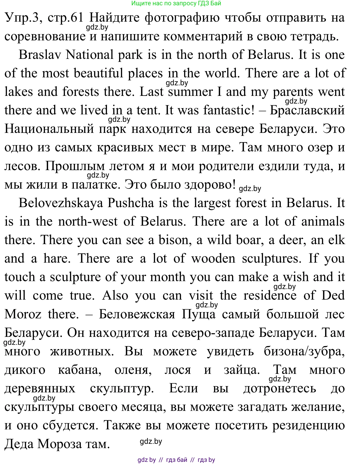 Английский язык (english), 5 класс практикум (activity book ), авторы: Демченко Наталья Валентиновна, Севрюкова Татьяна Юрьевна, Наумова Елена Георгиевна, Лапицкая Людмила Михайловна (Lapitskaya Ludmila), Юхнель Наталья Валентиновна, издательство Аверсэв, Минск, 2019, зелёного цвета, Часть 2, страница 61, номер 3, Решение 2