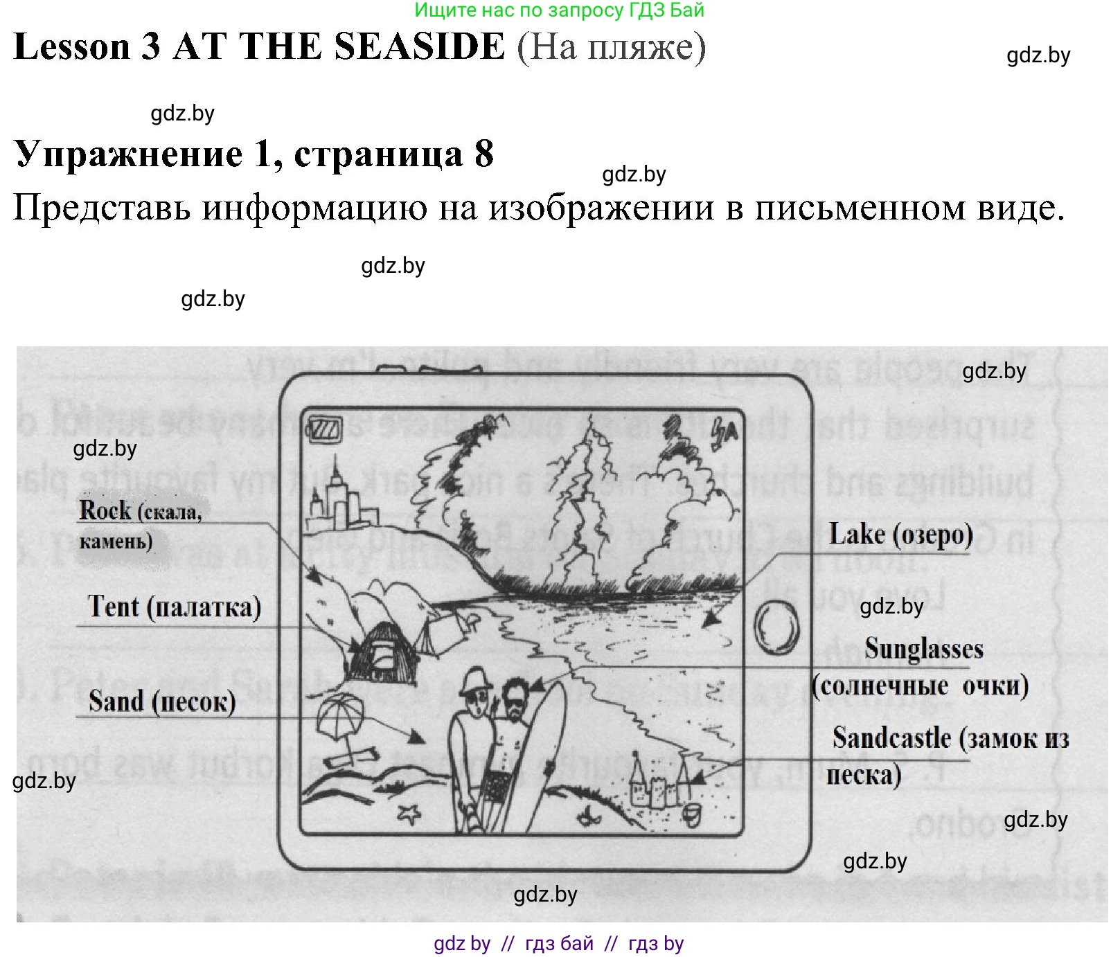 Английский язык (english), 5 класс практикум (activity book ), авторы: Демченко Наталья Валентиновна, Севрюкова Татьяна Юрьевна, Наумова Елена Георгиевна, Лапицкая Людмила Михайловна (Lapitskaya Ludmila), Юхнель Наталья Валентиновна, издательство Аверсэв, Минск, 2019, зелёного цвета, Часть 1, страница 8, номер 1, Решение 1