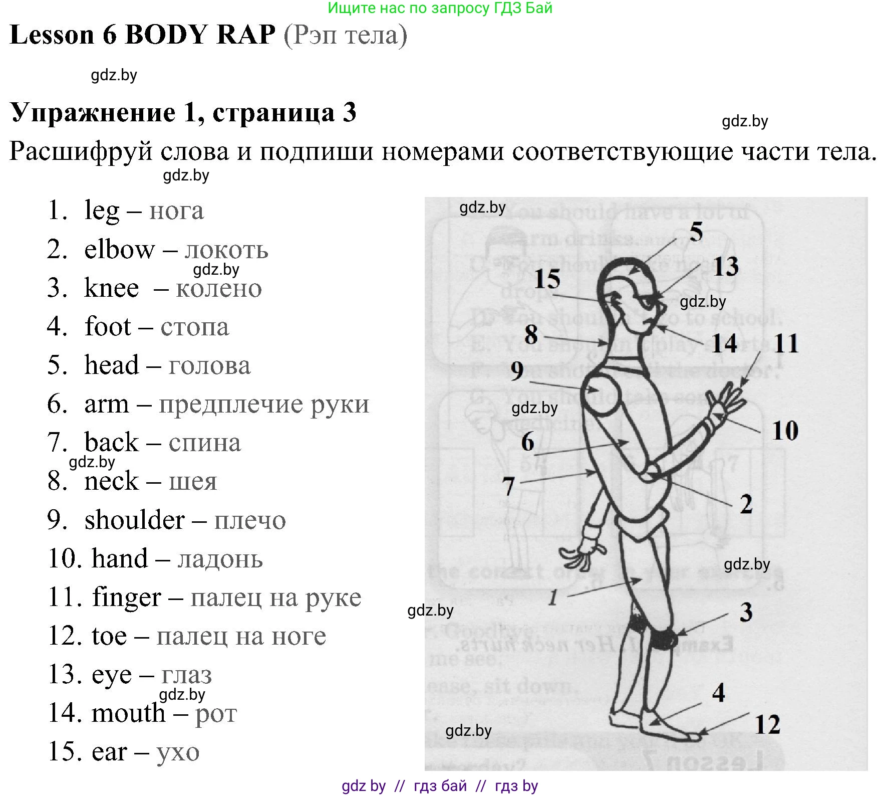 Английский язык (english), 5 класс практикум (activity book ), авторы: Демченко Наталья Валентиновна, Севрюкова Татьяна Юрьевна, Наумова Елена Георгиевна, Лапицкая Людмила Михайловна (Lapitskaya Ludmila), Юхнель Наталья Валентиновна, издательство Аверсэв, Минск, 2019, зелёного цвета, Часть 2, страница 3, номер 1, Решение 1